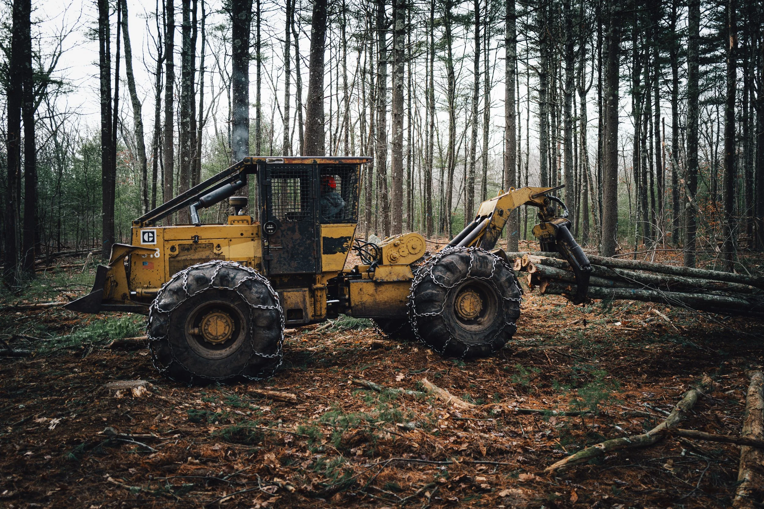 RI_Logging_Bob_Thurber_LQ2_2023_12_07-50.jpg