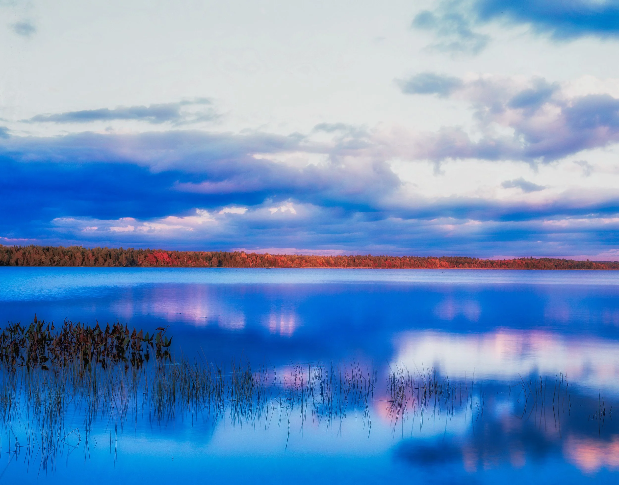me Tree Line Fire-Edit.jpg