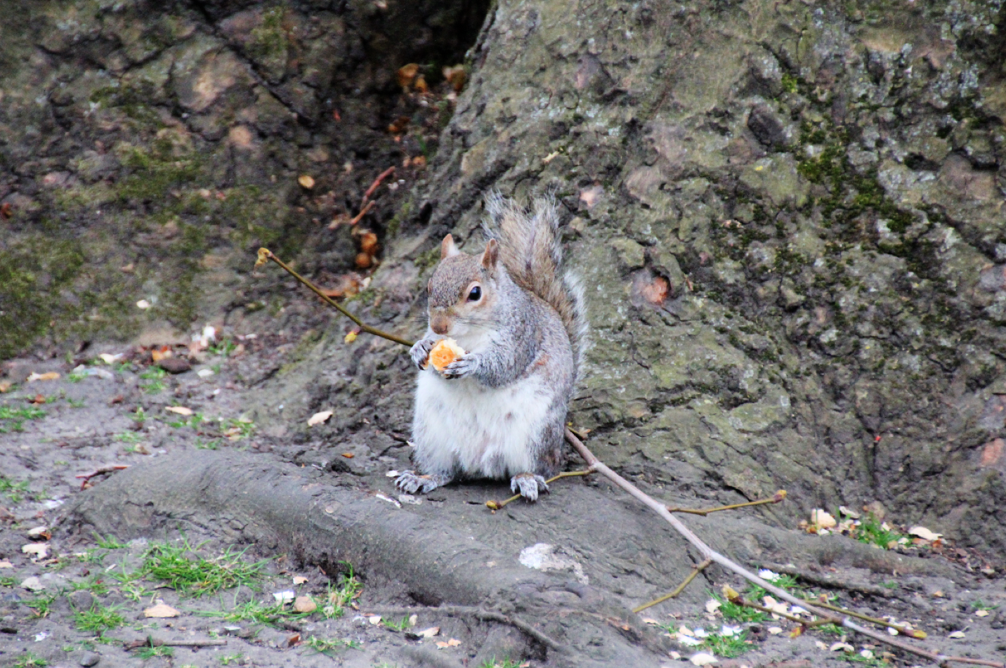 Screen Shot 2014-04-15 at 6.09.53 PM.png