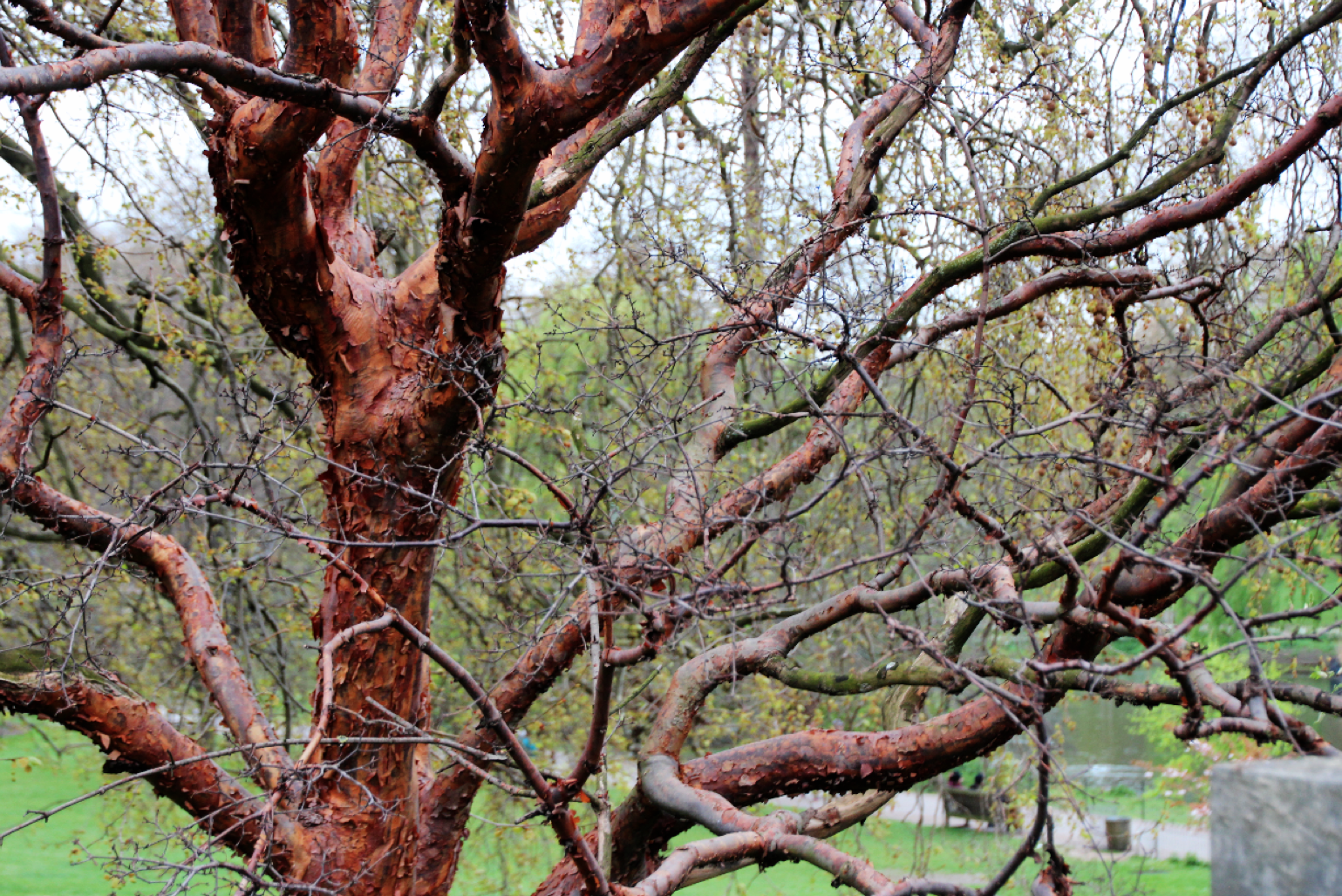 Screen Shot 2014-04-15 at 6.20.05 PM.png