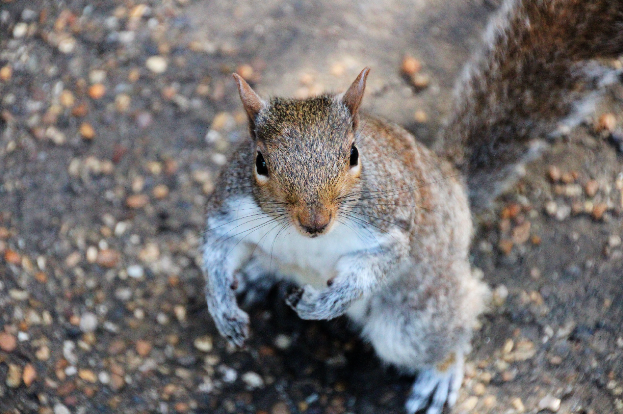 Screen Shot 2014-04-15 at 4.27.38 PM.png