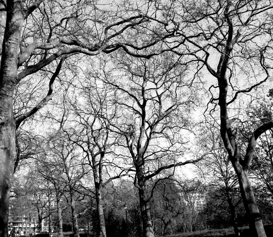 Screen Shot 2014-04-15 at 4.28.15 PM.png