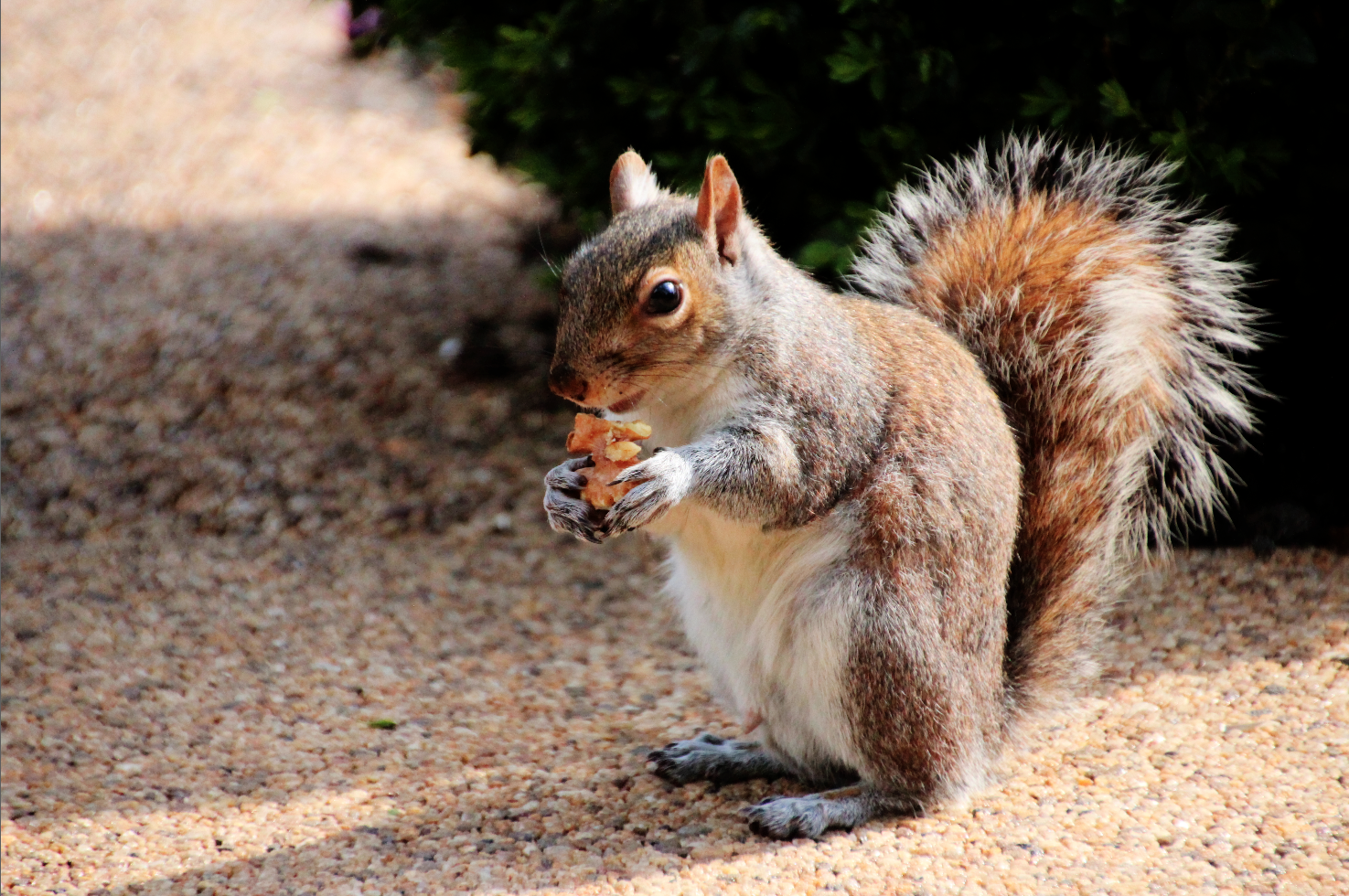 Screen Shot 2014-04-14 at 6.54.47 PM.png