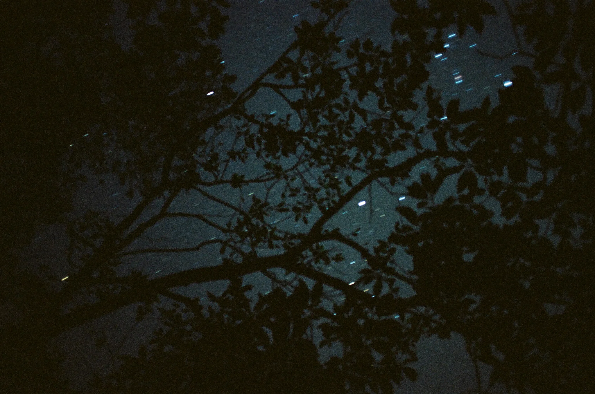 14660015.jpg