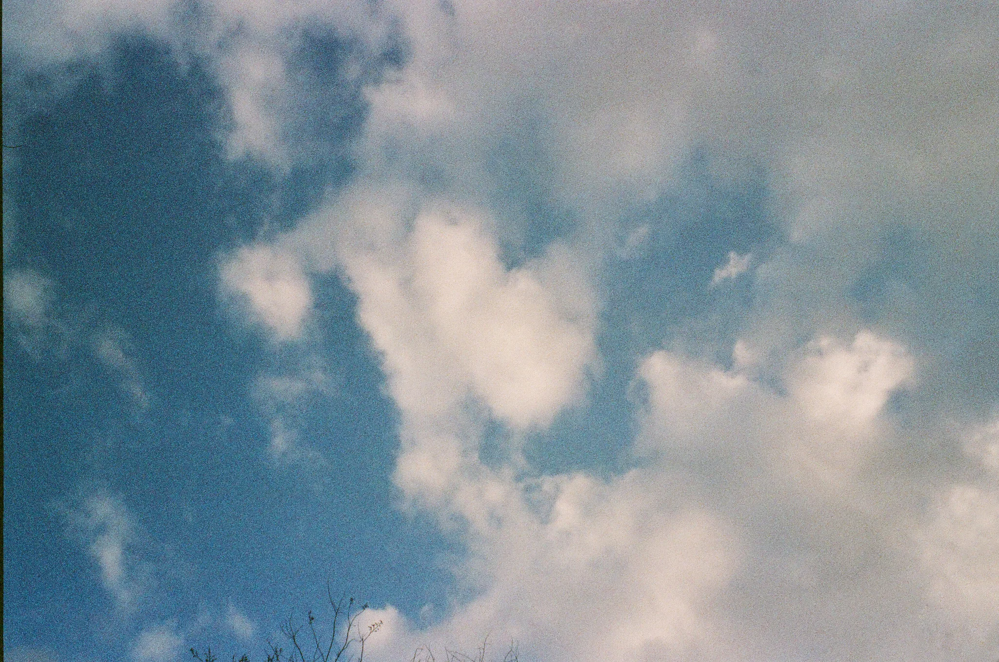 46540001.jpg