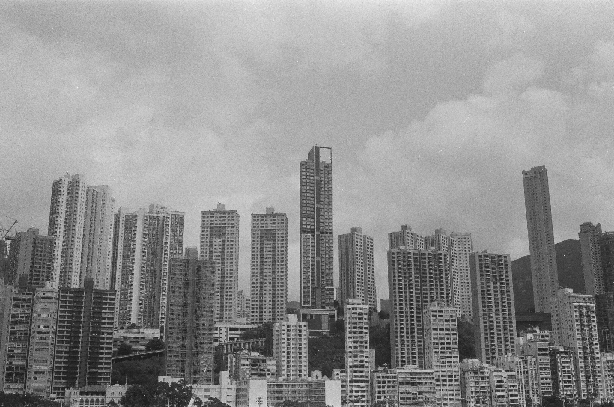 38980033.jpg