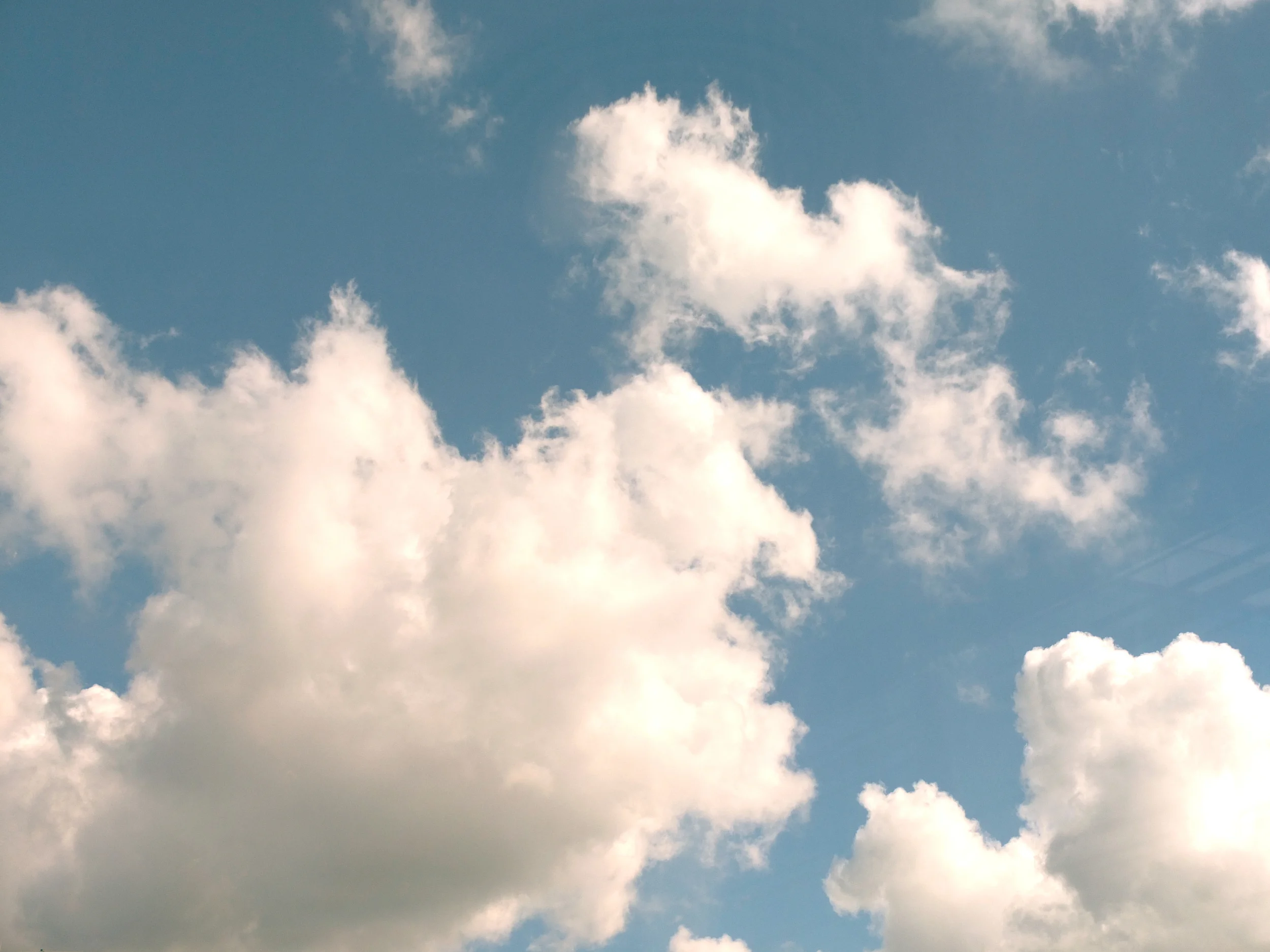 DSCF2144s.jpg