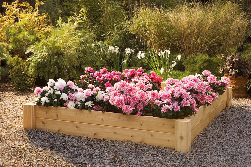 Raised Flower Bed Sandbox Veggie, Pictures Of Gardens With Raised Flower Beds