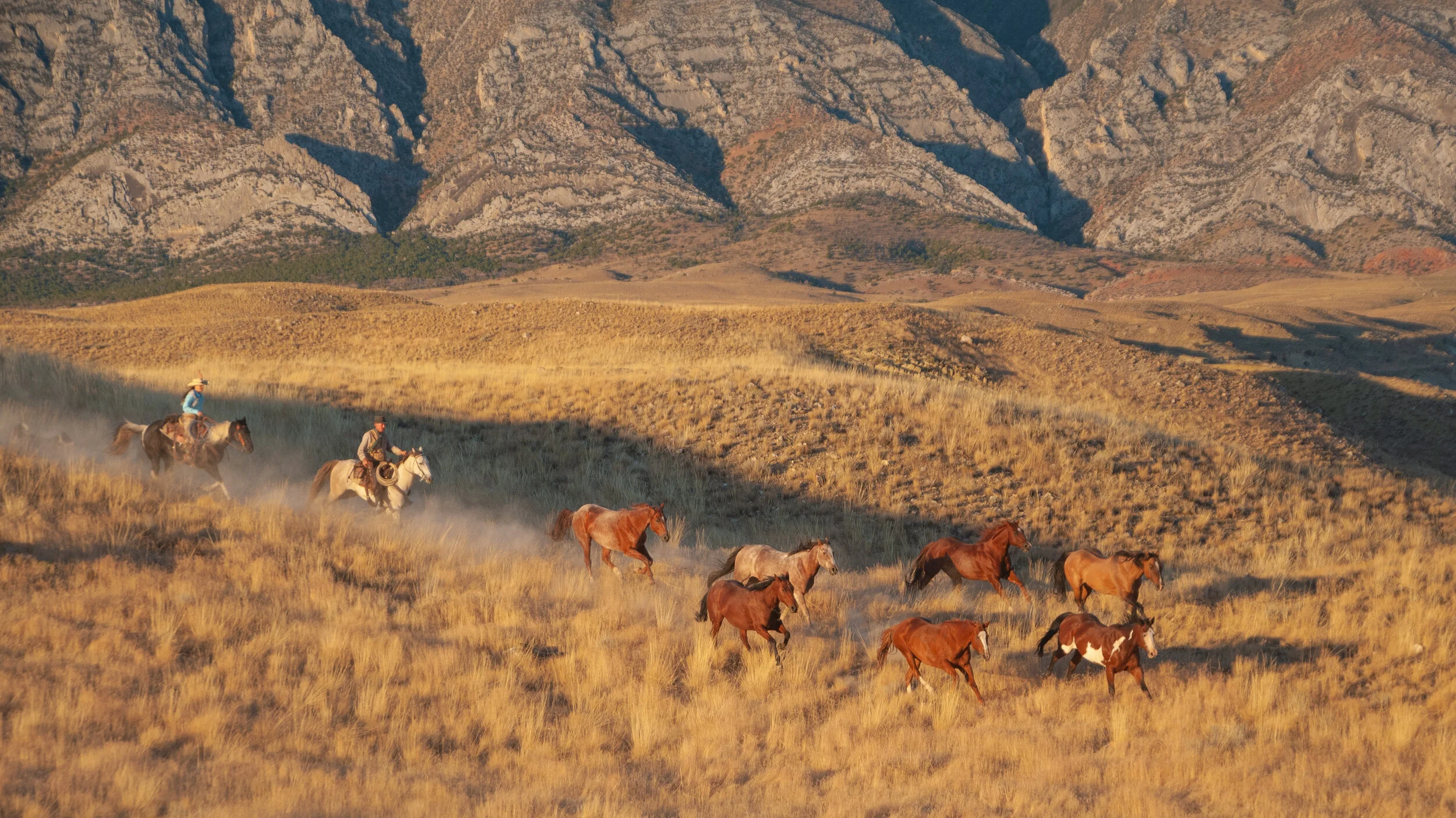 Icons of the West-05.jpg