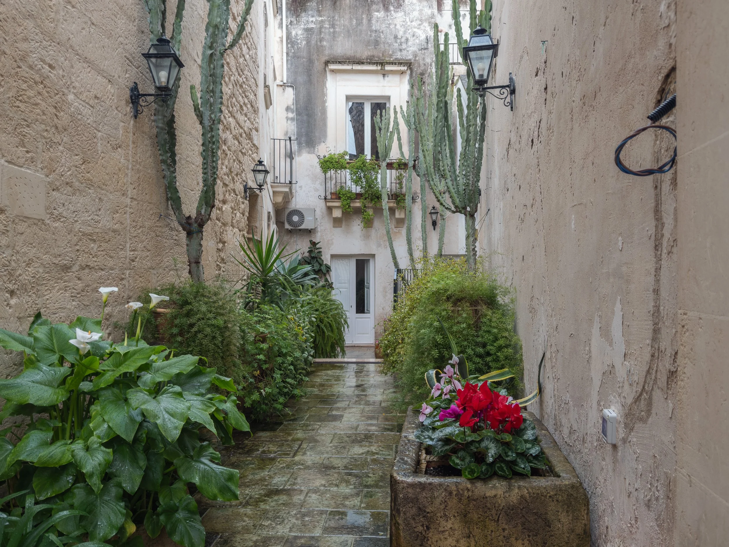2026-Puglia & Crete-08.jpg