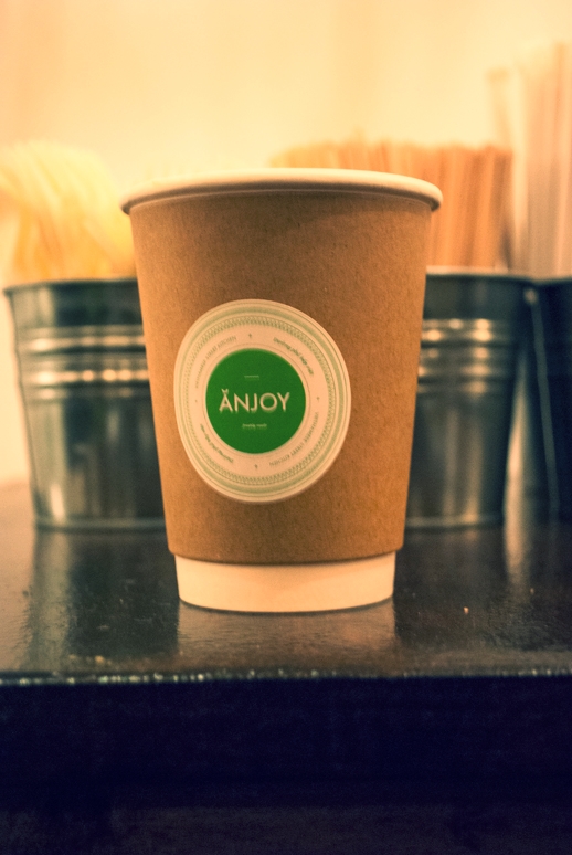 anjoyblog4.jpg
