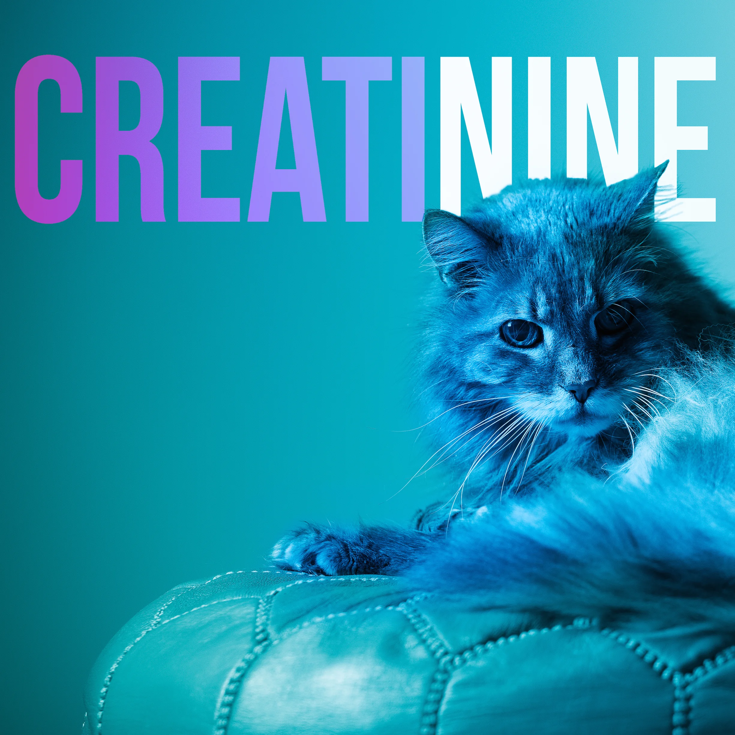 creatinine thumbnails square-1 copy.jpg