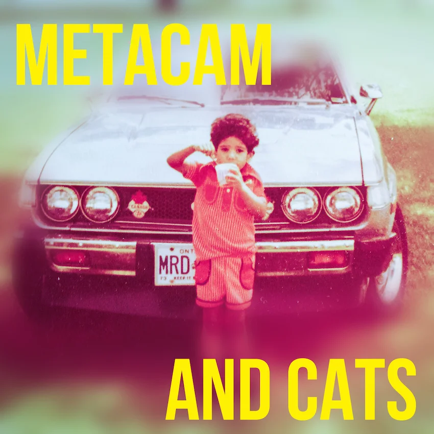 metacam and cats thumbnail copy.jpg