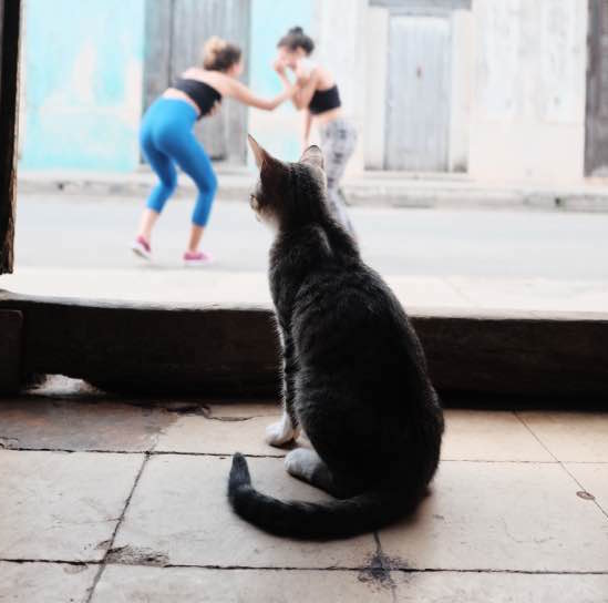 Cuba October 20170136_Fotor.jpg