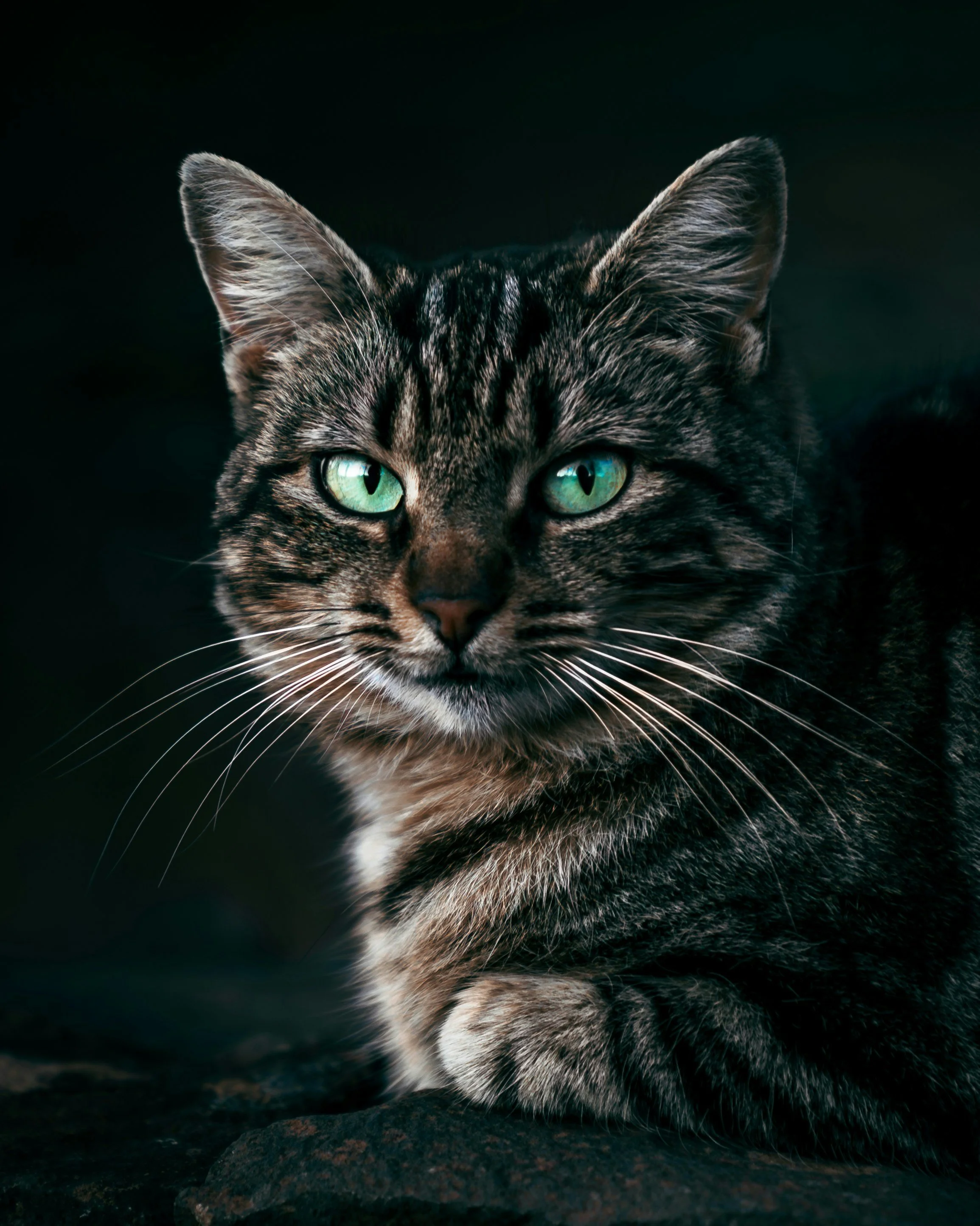 CKD, SQ Fluids, and the Art of Holding Steady