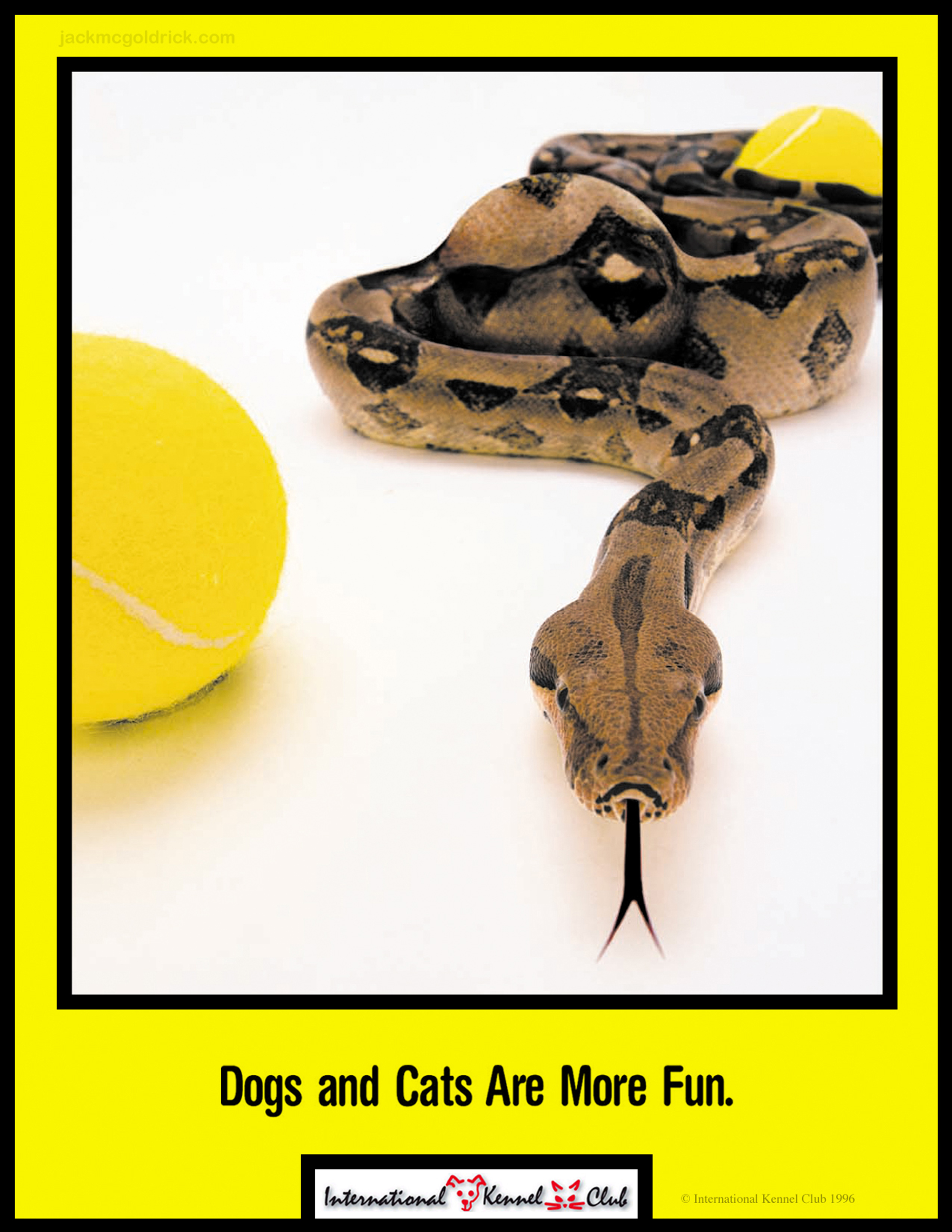 International Kennel Club - Snake