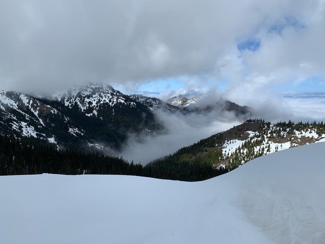 #hurricaneridge #latergram