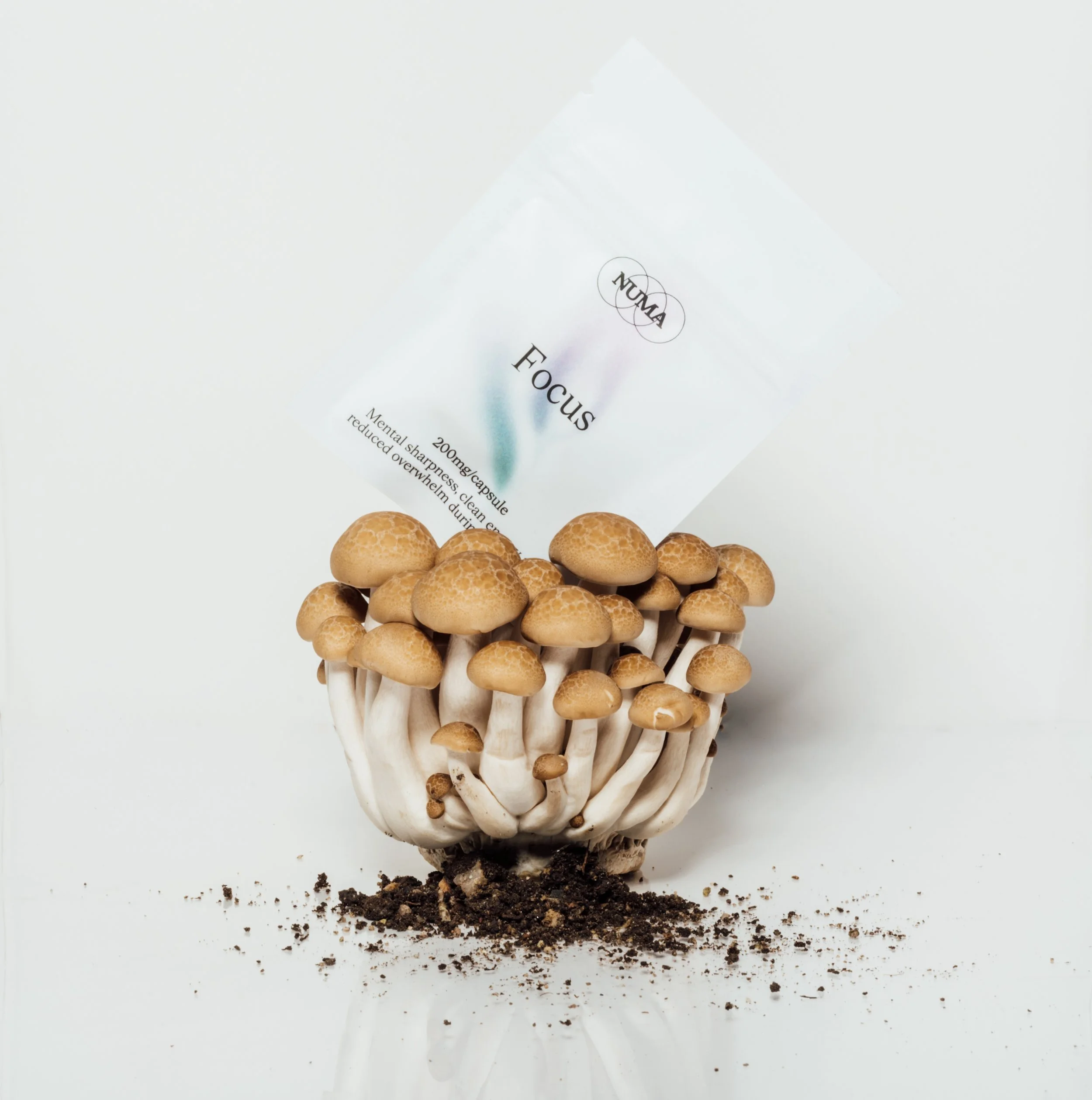 Numa Styled Finals-7.jpg