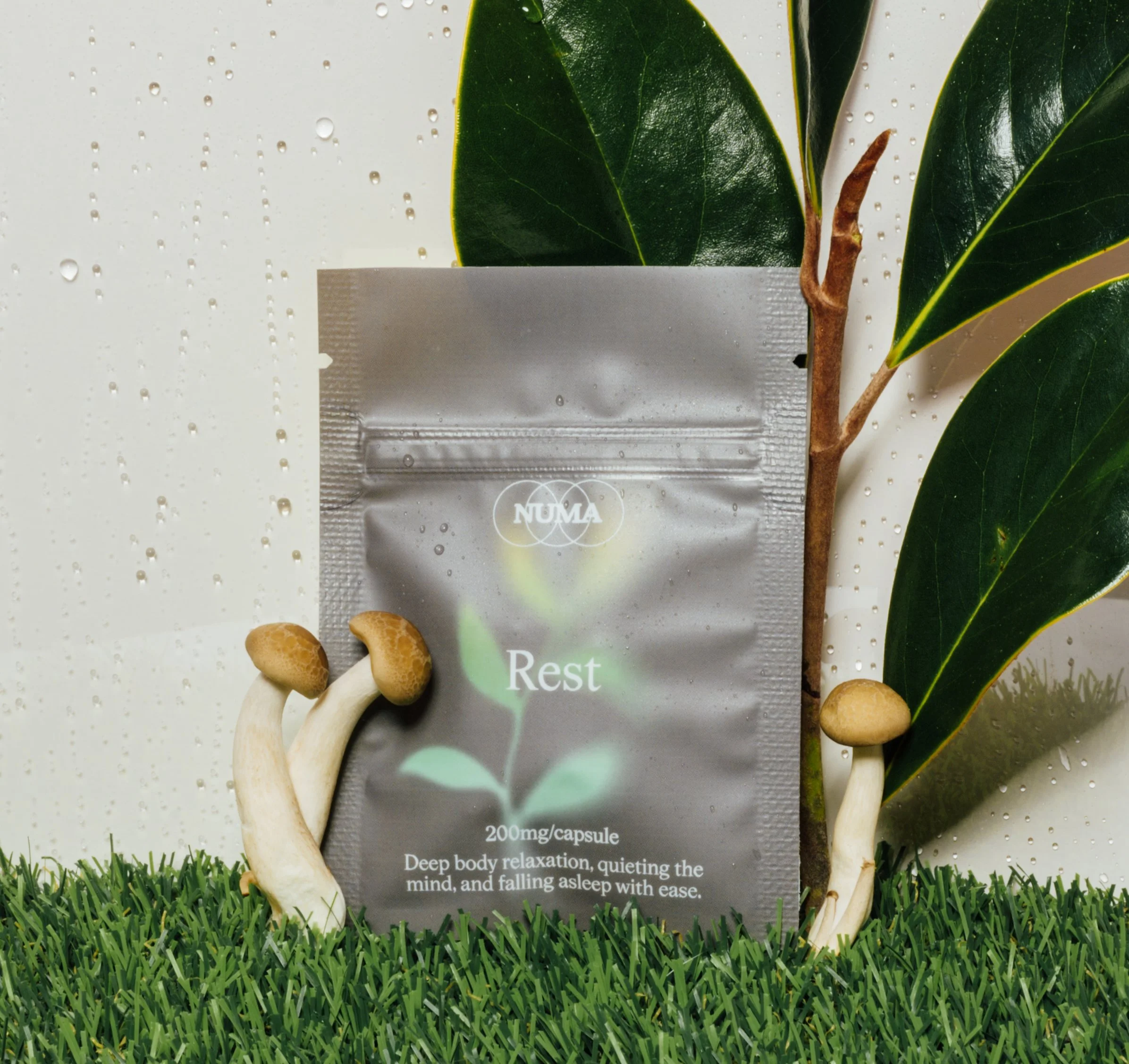 Numa Styled Finals-9.jpg