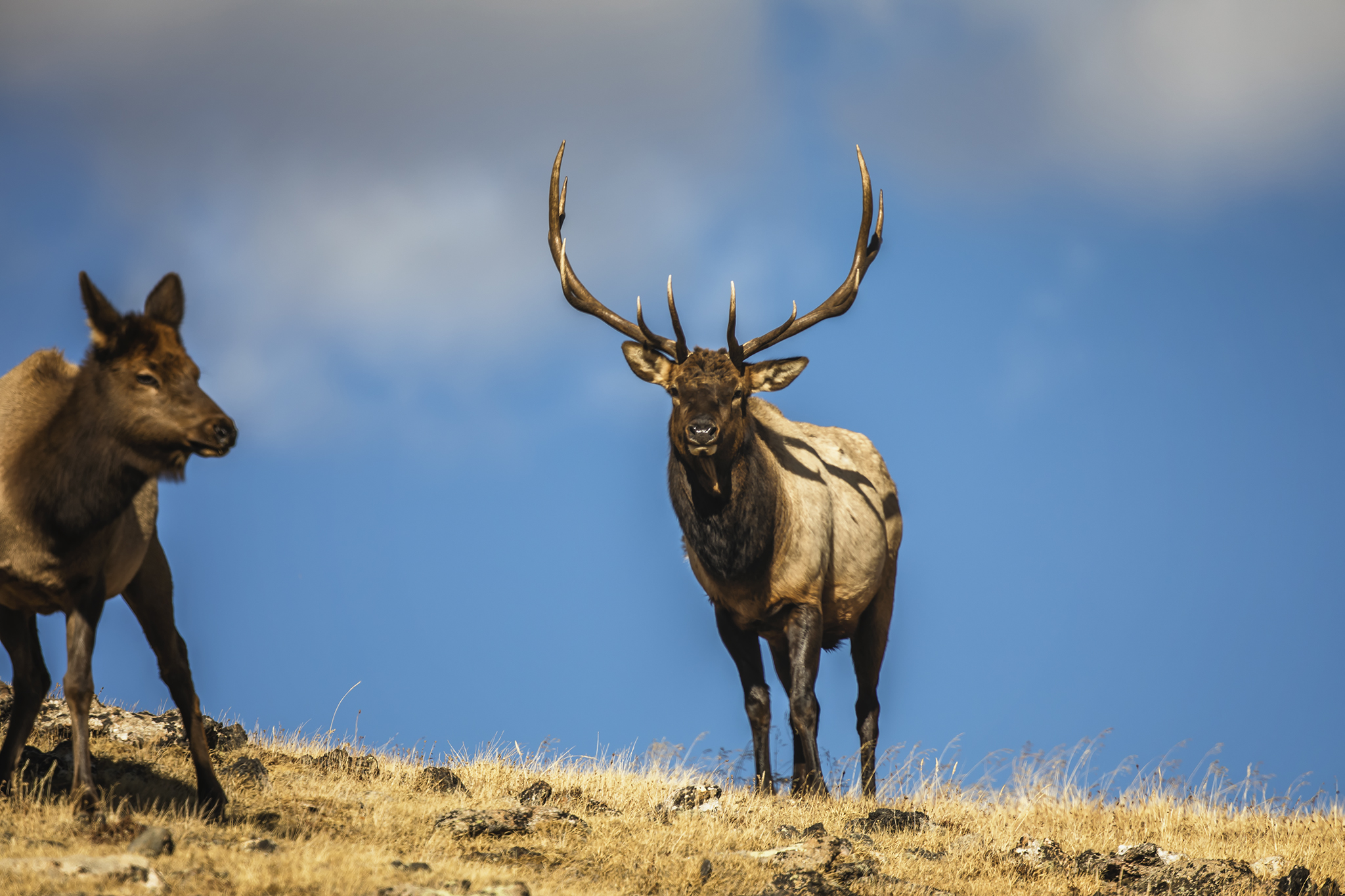 AntlersInTheClouds_J3A0287FB.jpg