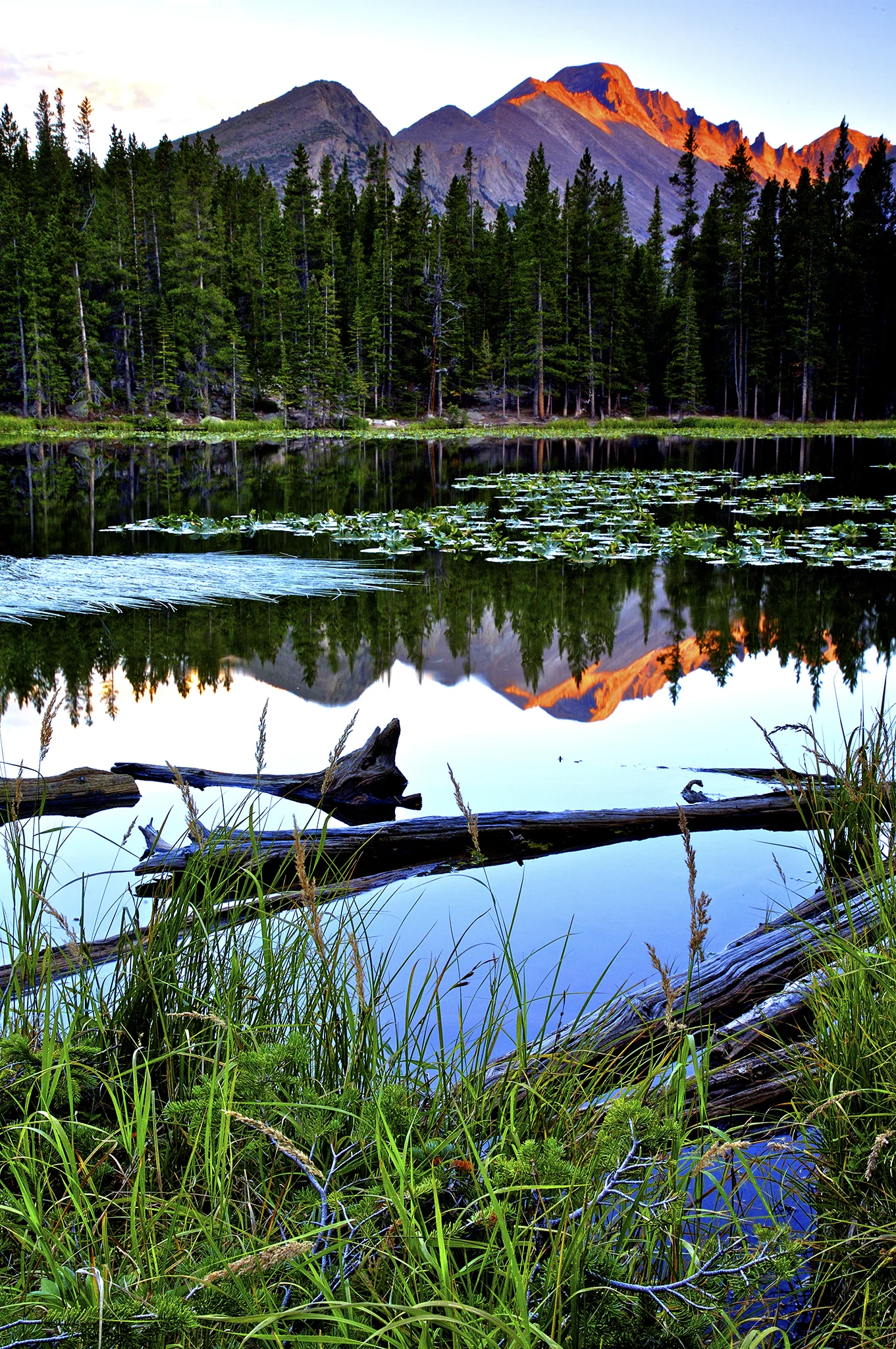 NymphLake_2870_FB.jpg