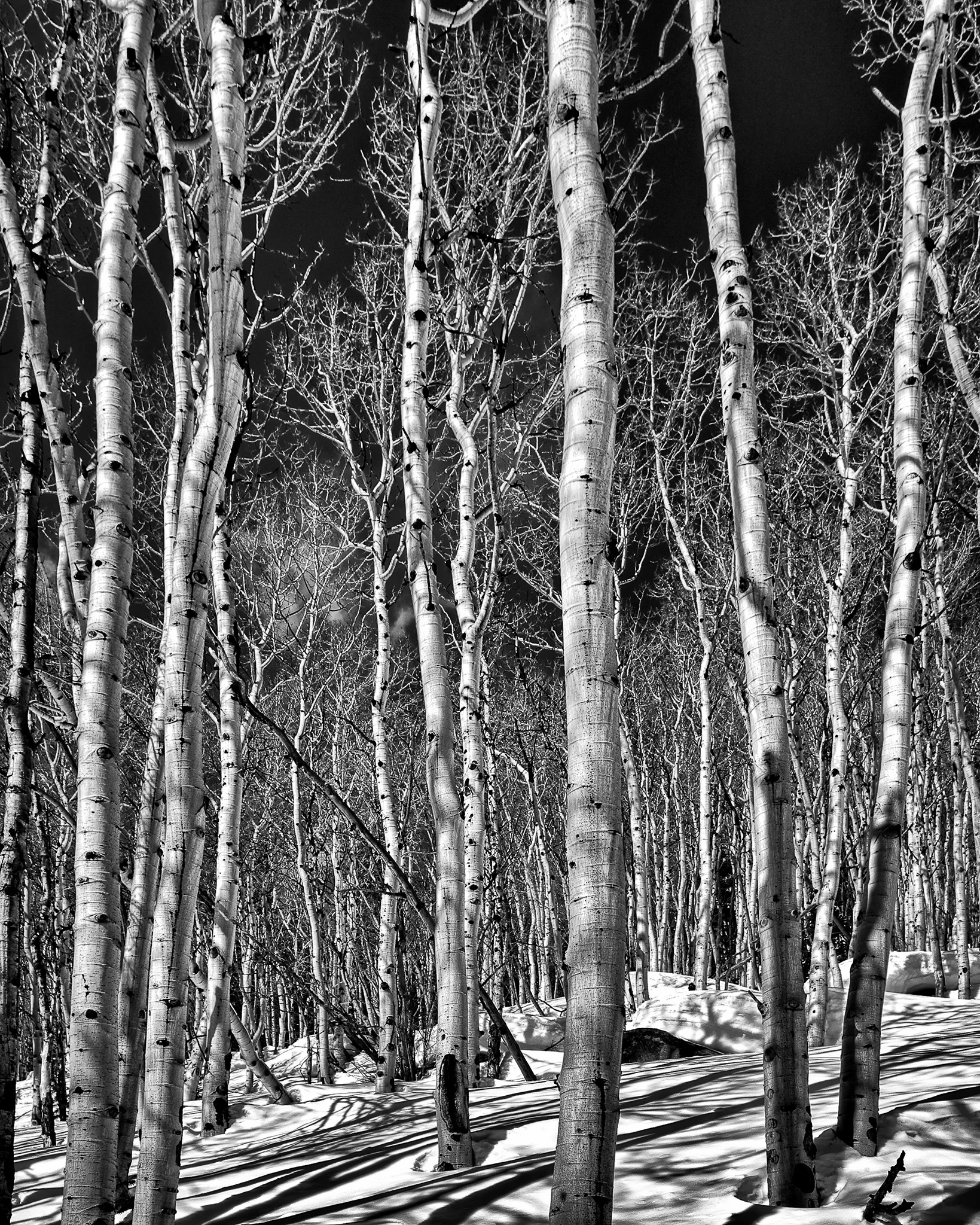 Aspen_9500ft_1033_HDR_FB.jpg