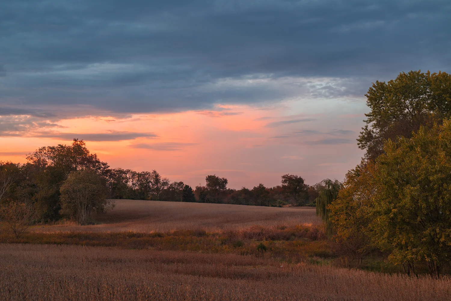 In this image you will see the beautiful warm red light reflected from the clouds along the horizon. Such diffused light adds form, shape, and tonality to the elements within the image. Shot with a Nikon D810 and a Zeiss Distagon T, 50mm, f2.0, zf.2 Makro Planar. Image exposed at ISO 64 at f11 for 4 seconds. 