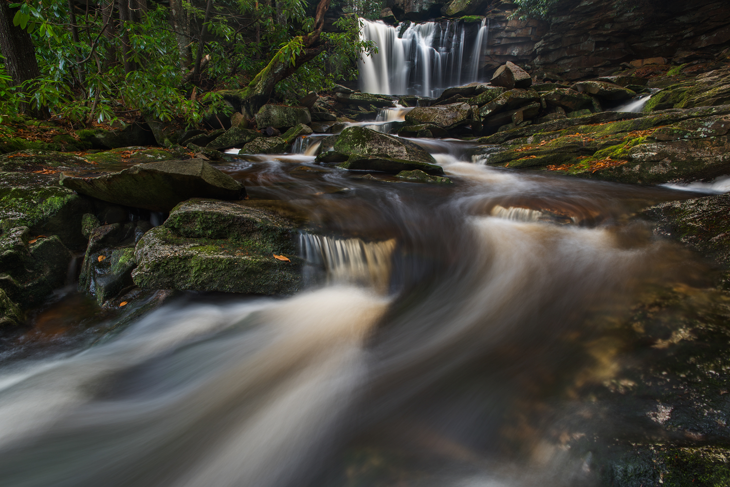 Elakala No. 1, Shay's Run, Black Water Falls State Park, WV
