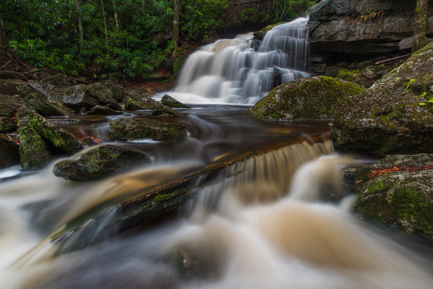 Elakala No. 2, Shay's Run, Black Water Falls State Park, WV