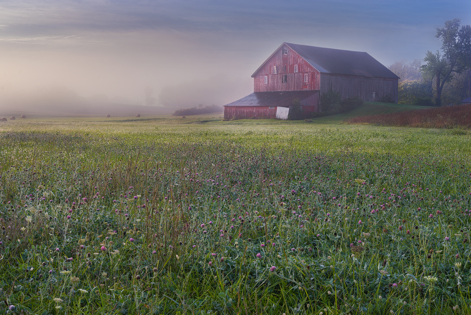 The Soft Light of Early Morning is Filtered Through a Layer of Fog.