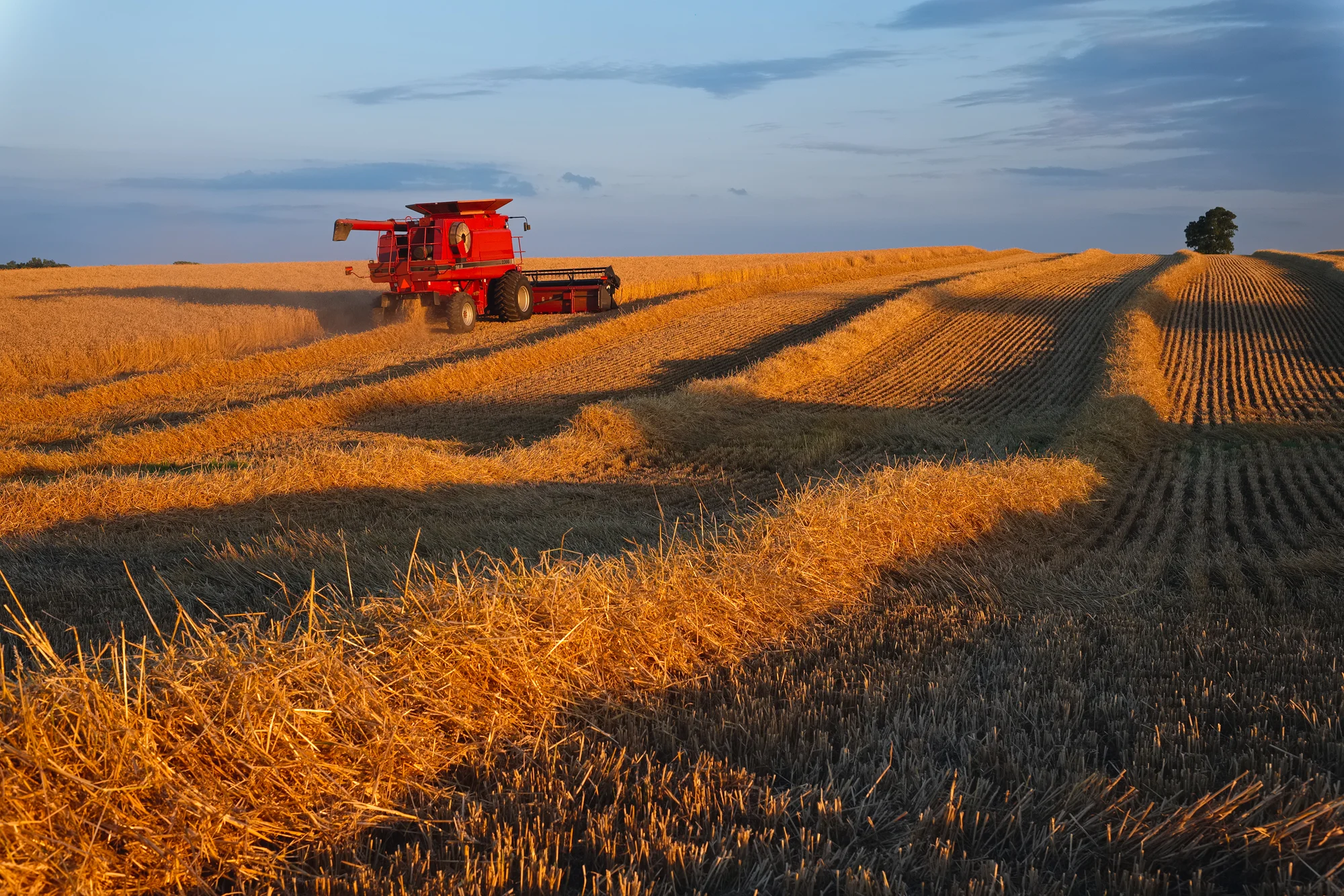 Harvesting the Wheat | Fuji XT-1 and Fujinon 23mm f1.4 | Image Exposed at ISO 400 at f6.4 for 1/180 of a second.