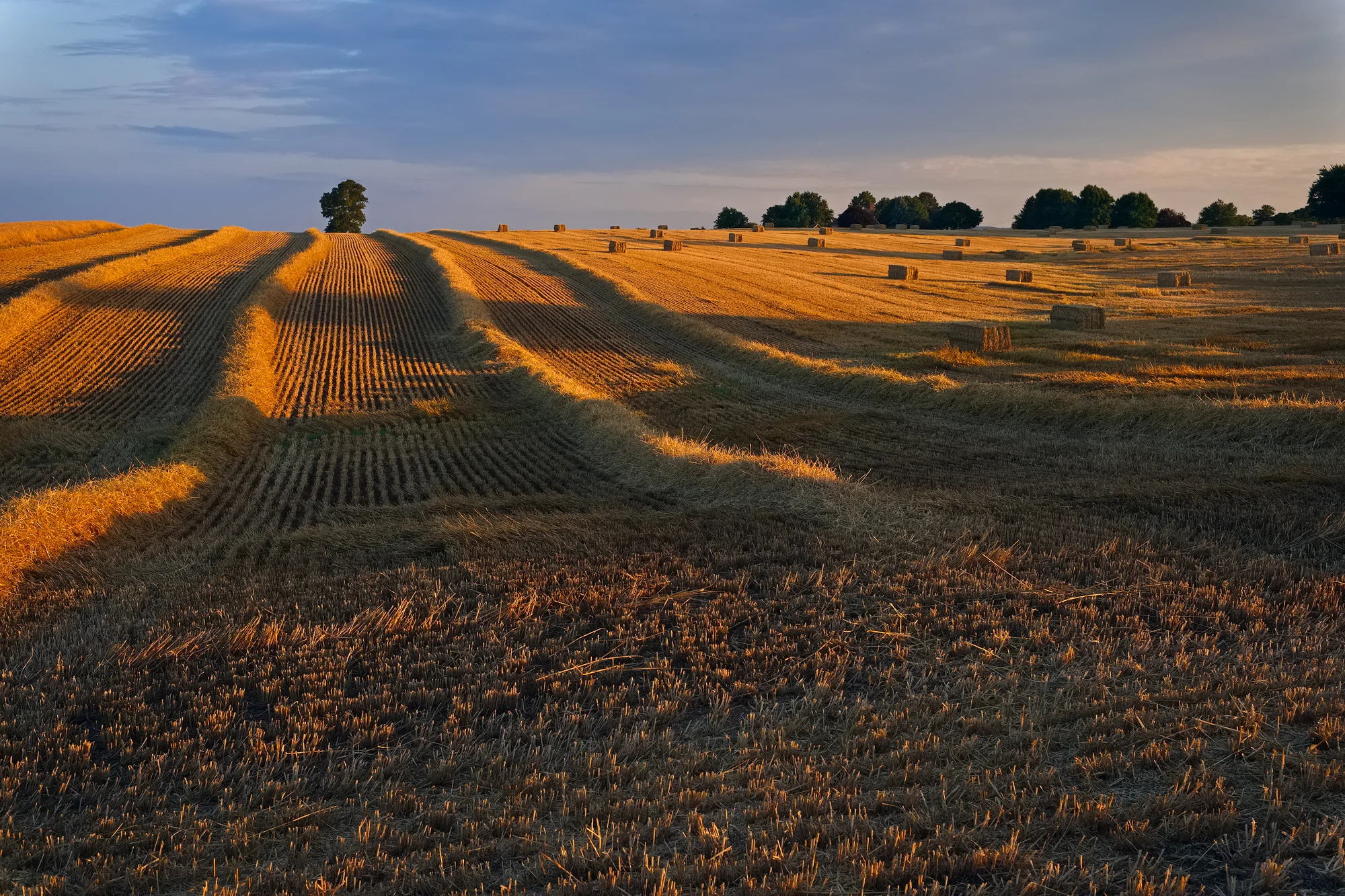 Rows and Bales | Fuji XT-1 and a Fujinon 23mm f1.4 | Image exposed at ISO 400 at f6.4 for 1/125 of a second.