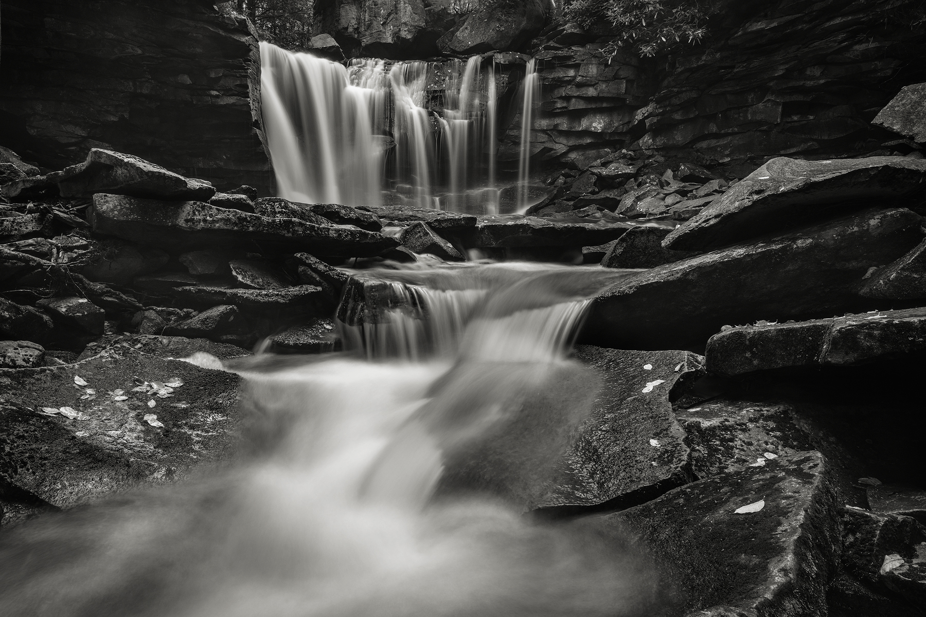 Elakala No. 1, Shays Run • Black Water Falls State Park, WV