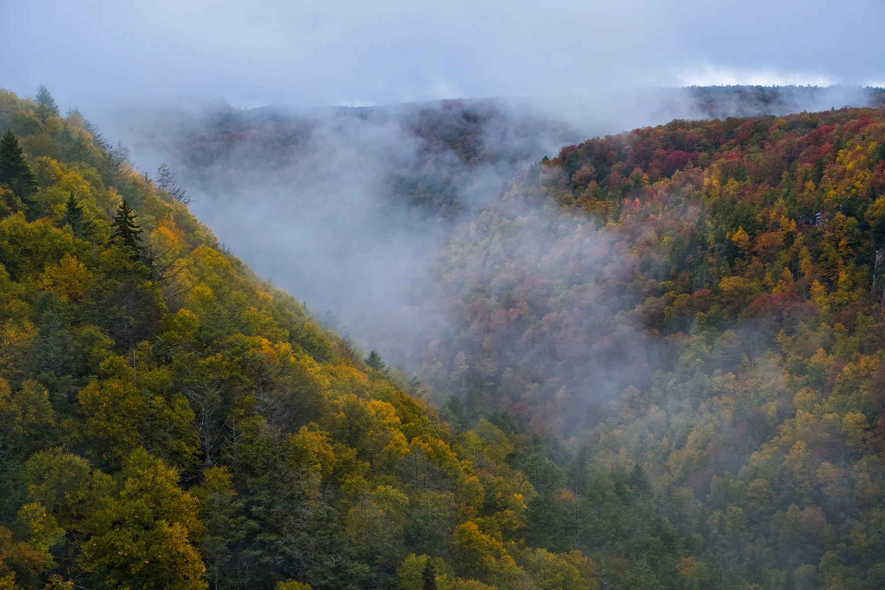 Black Water Falls Vista • Black Water Falls State Park, WV