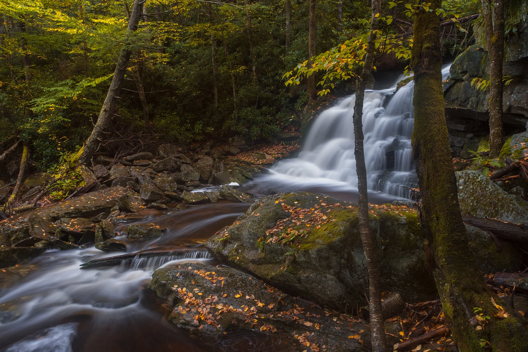Fall at Elakala No. 2 • Black Water Falls State Park, WV