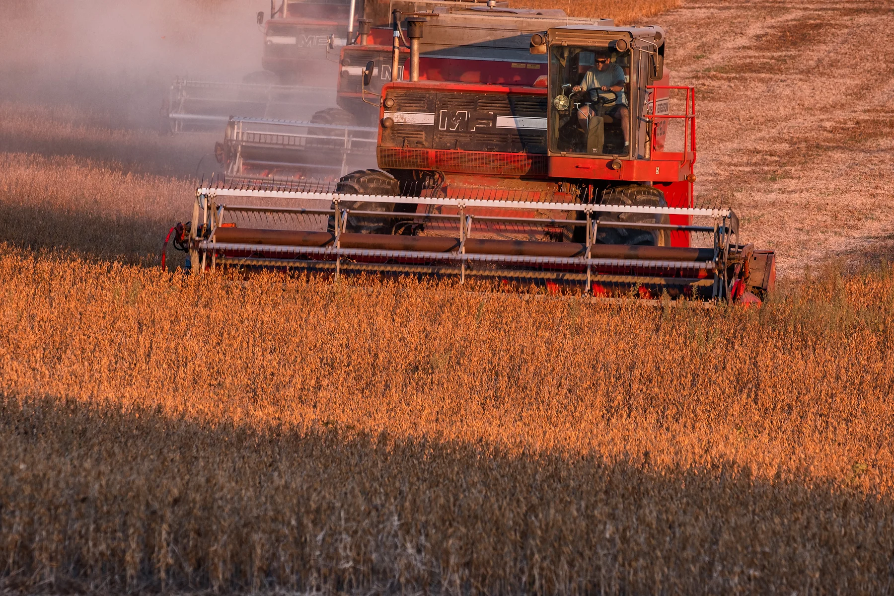 A phalanx of combines working the soybean harvest. Fuji X-T2 and a Fujinon XF55-200mm at 200mm. Image exposed at ISO 200 at f5.6 for 1/60 of a second.