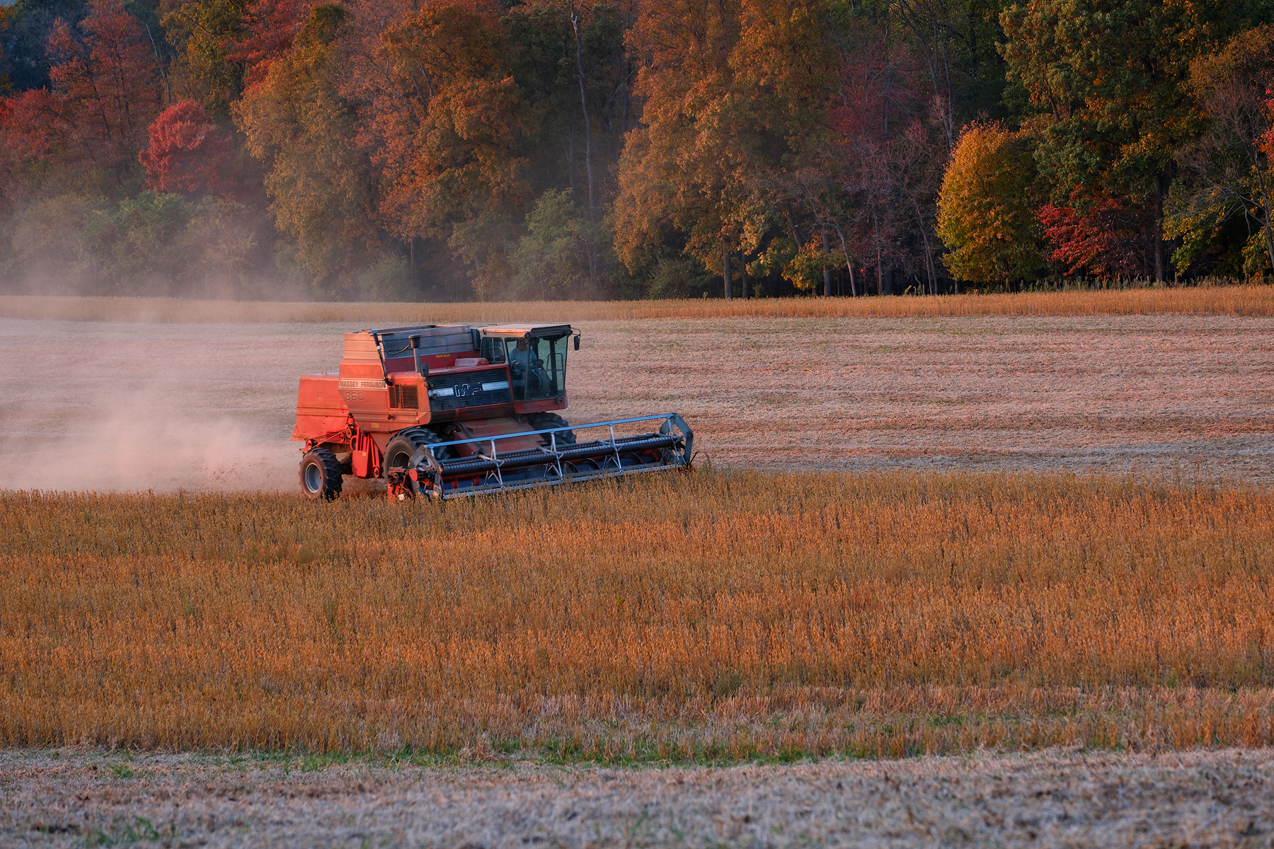 Beautiful late evening light illuminates a combine working a field of soybeans. Fuji X-T2 and a Fujinon XF55-200mm at 70mm. Image exposed at ISO 200 at f5.6 for 1/40 of a second.