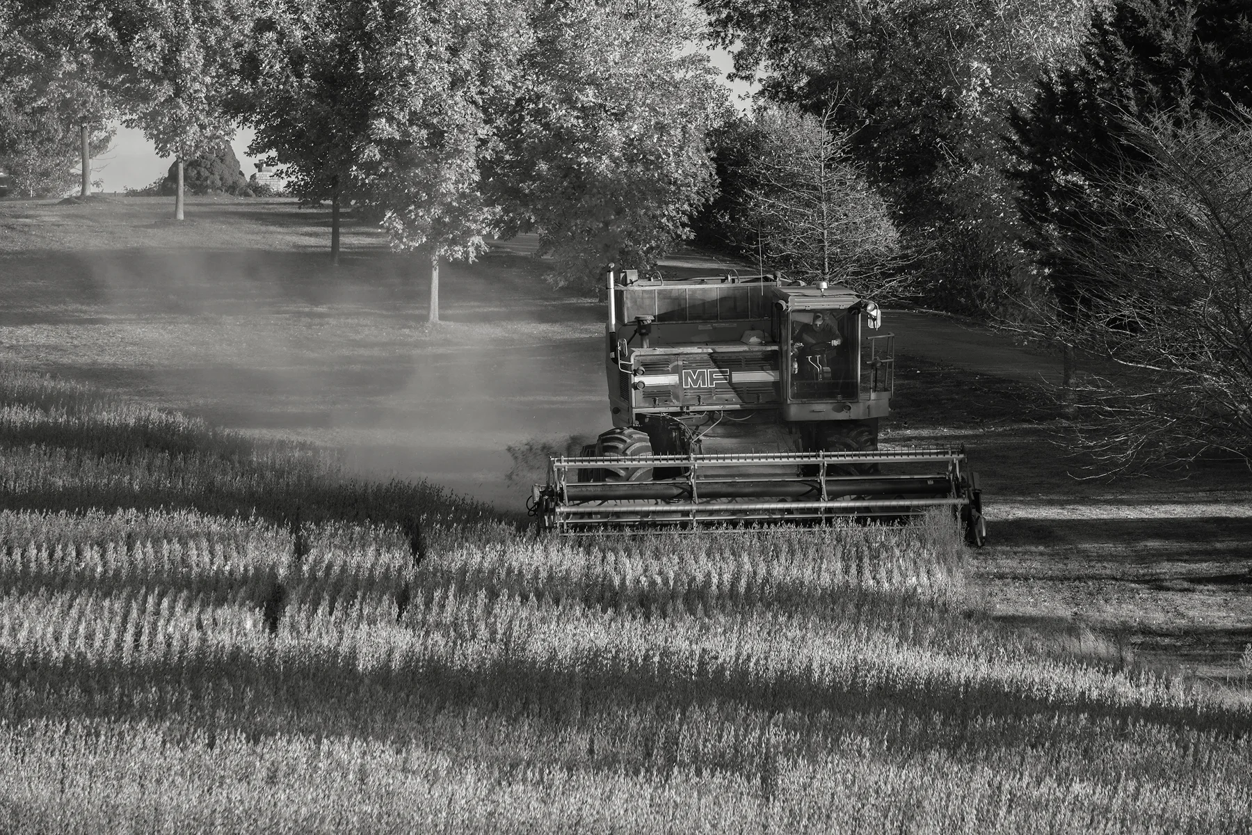A single combine moves down hill towards my camera position. Fuji X-T2 and a Fujinon XF55-200mm at 70mm. Image exposed at ISO 200 at f5.6 for 1/60 of a second.