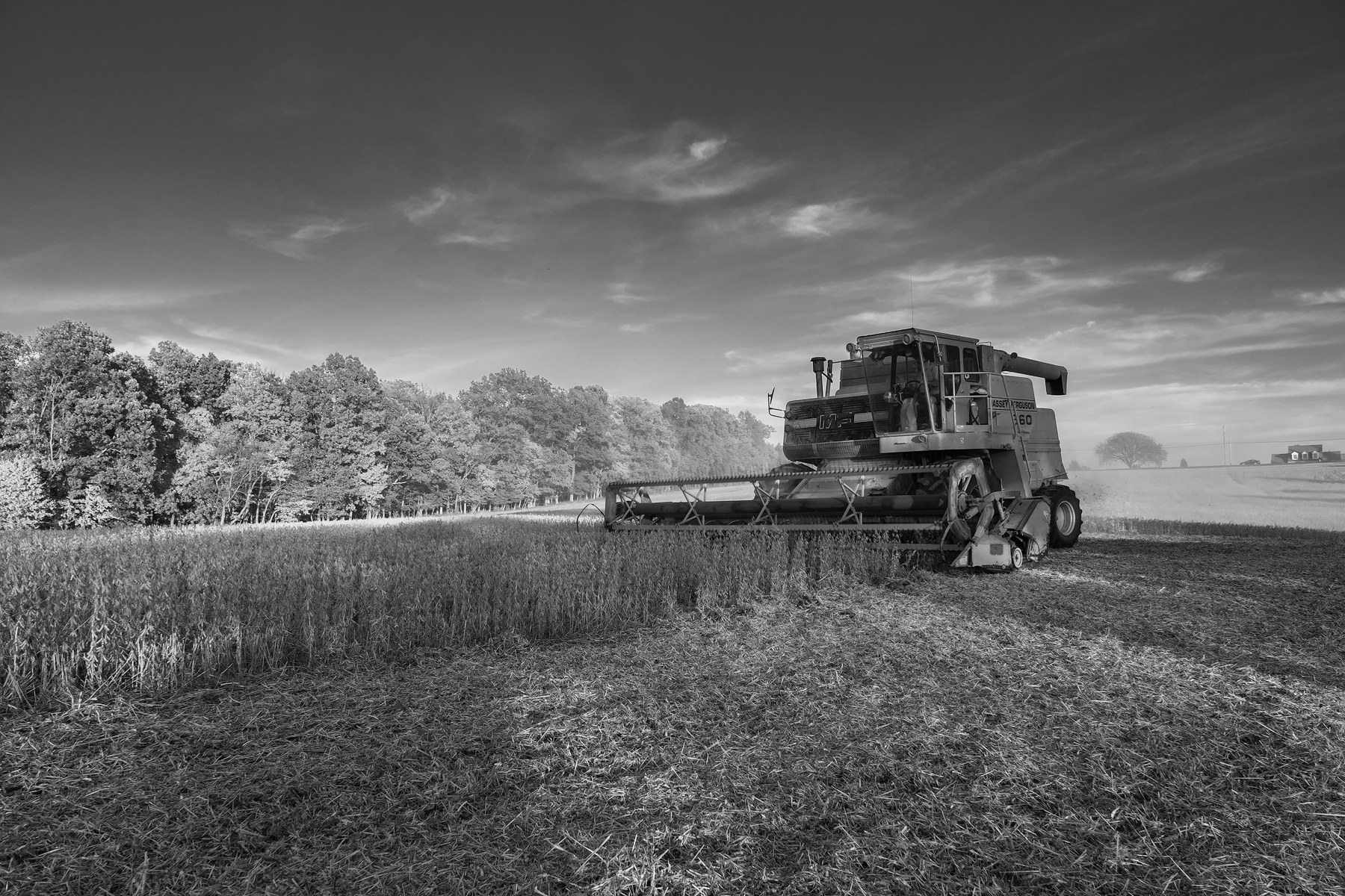 Long shadows and clouds frame a combine cutting soybeans. Fuji X-Pro 2 and a Fujinon XF16-55mm at 16mm. Image exposed at ISO 400 at f5.6 for 1/80 of a second.