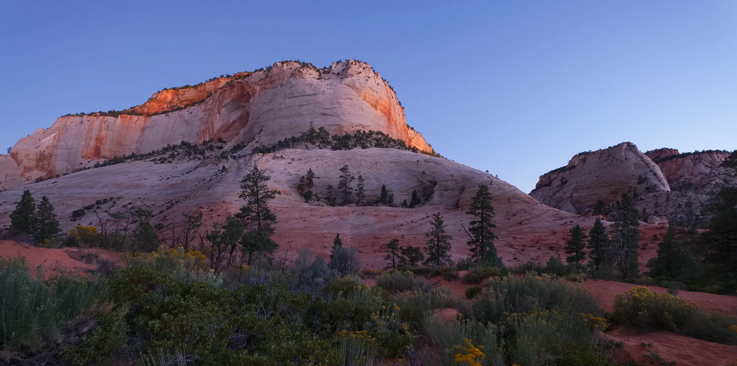 First Light, Zion National Park, UT.