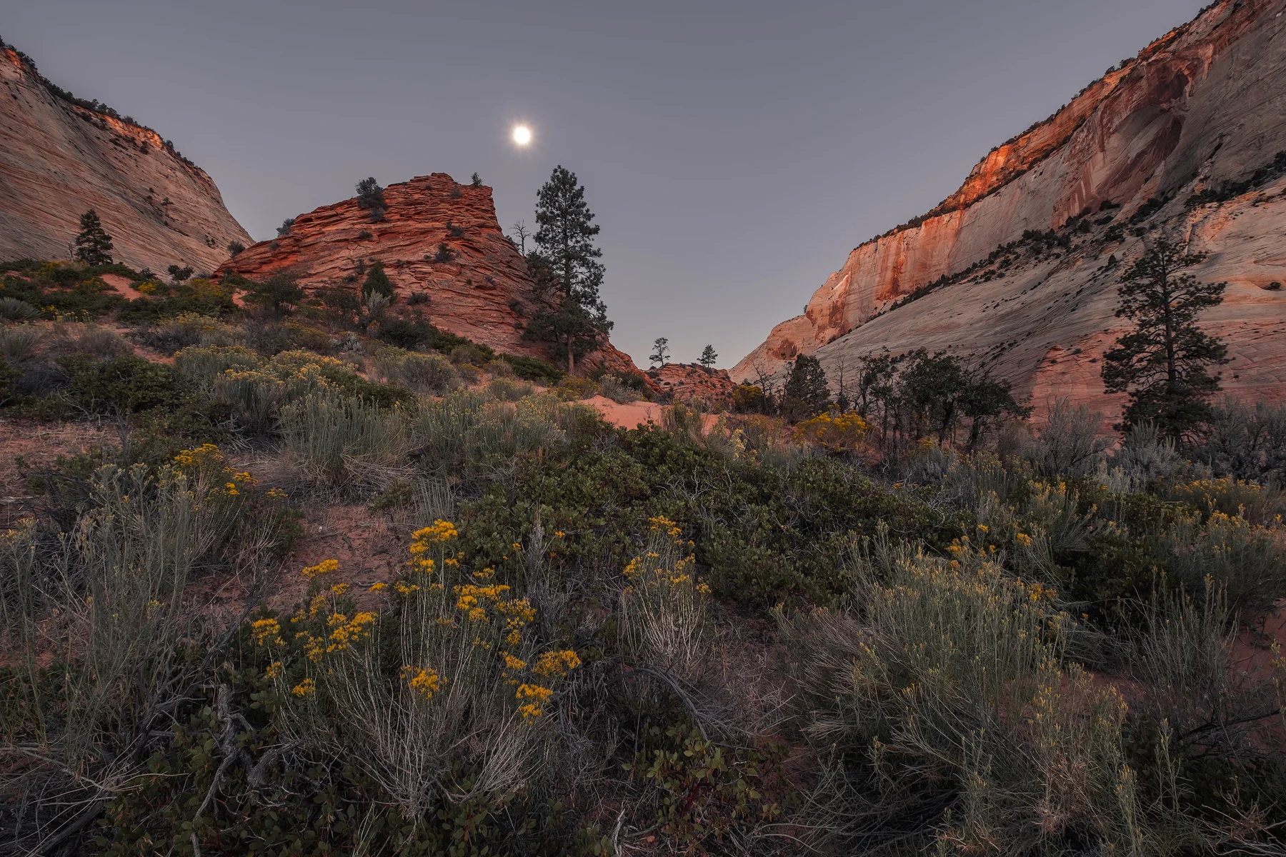 Moon Set over Zion, Zion National Park, UT.