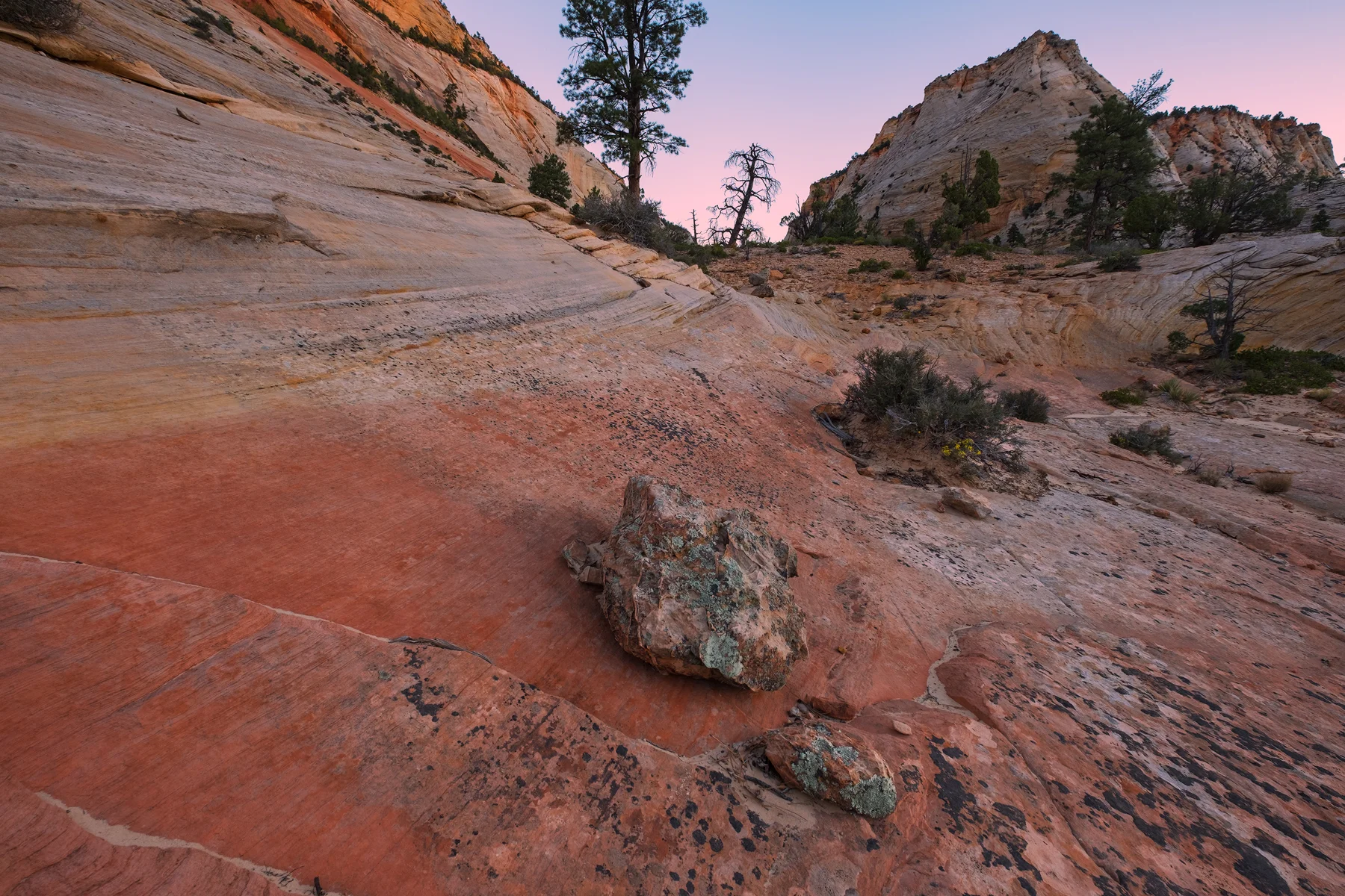 The Colors of Slickrock, Zion National Park, UT.