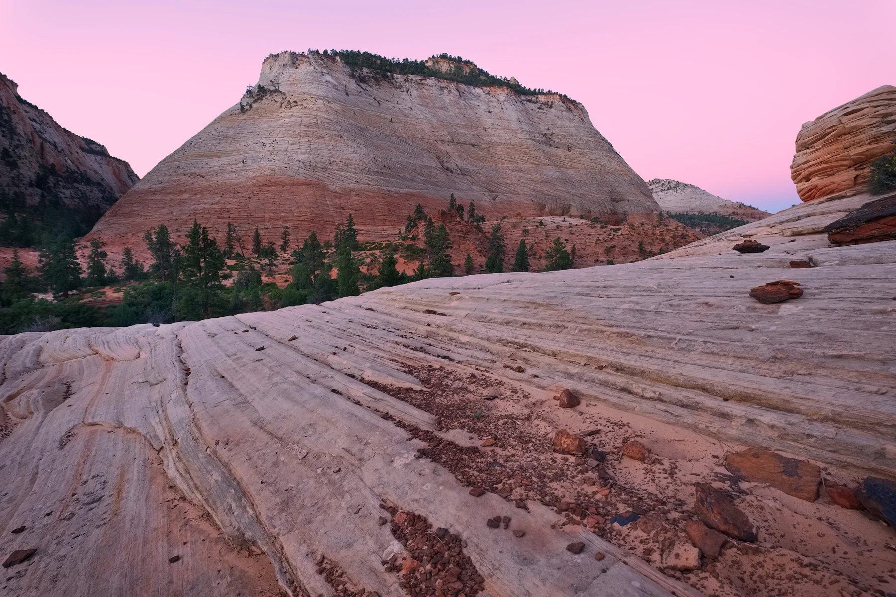 Dawn on the East Side, Zion National Park, UT.