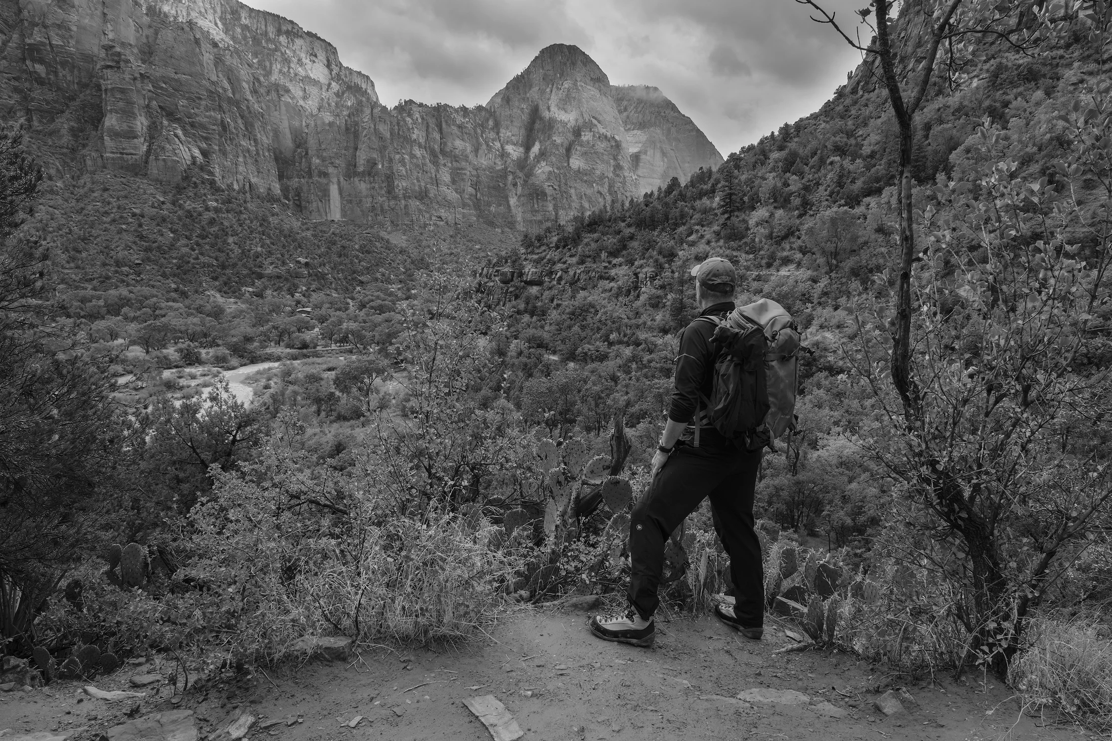 A View into the Valey of Zion Canyon, Zion National Park, UT.