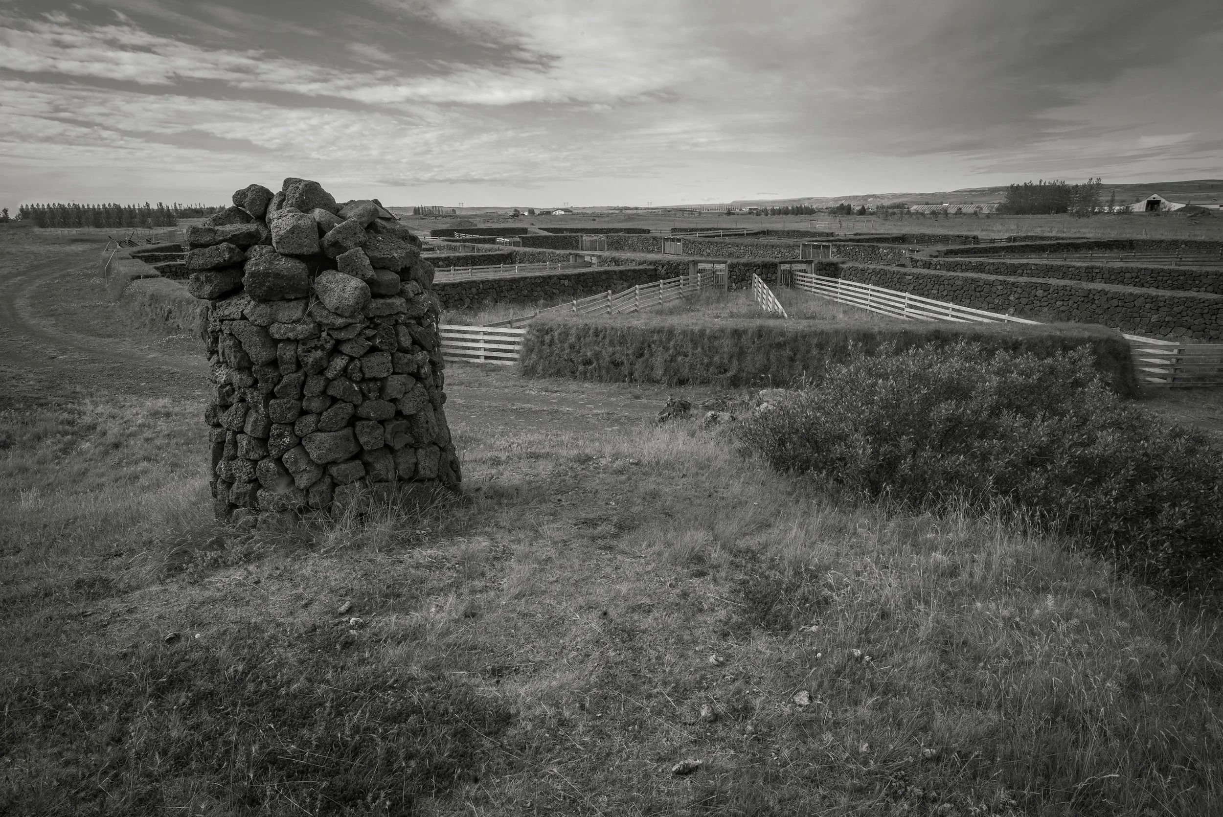 The réttir site showing the two rings and fences for sorting the sheep.