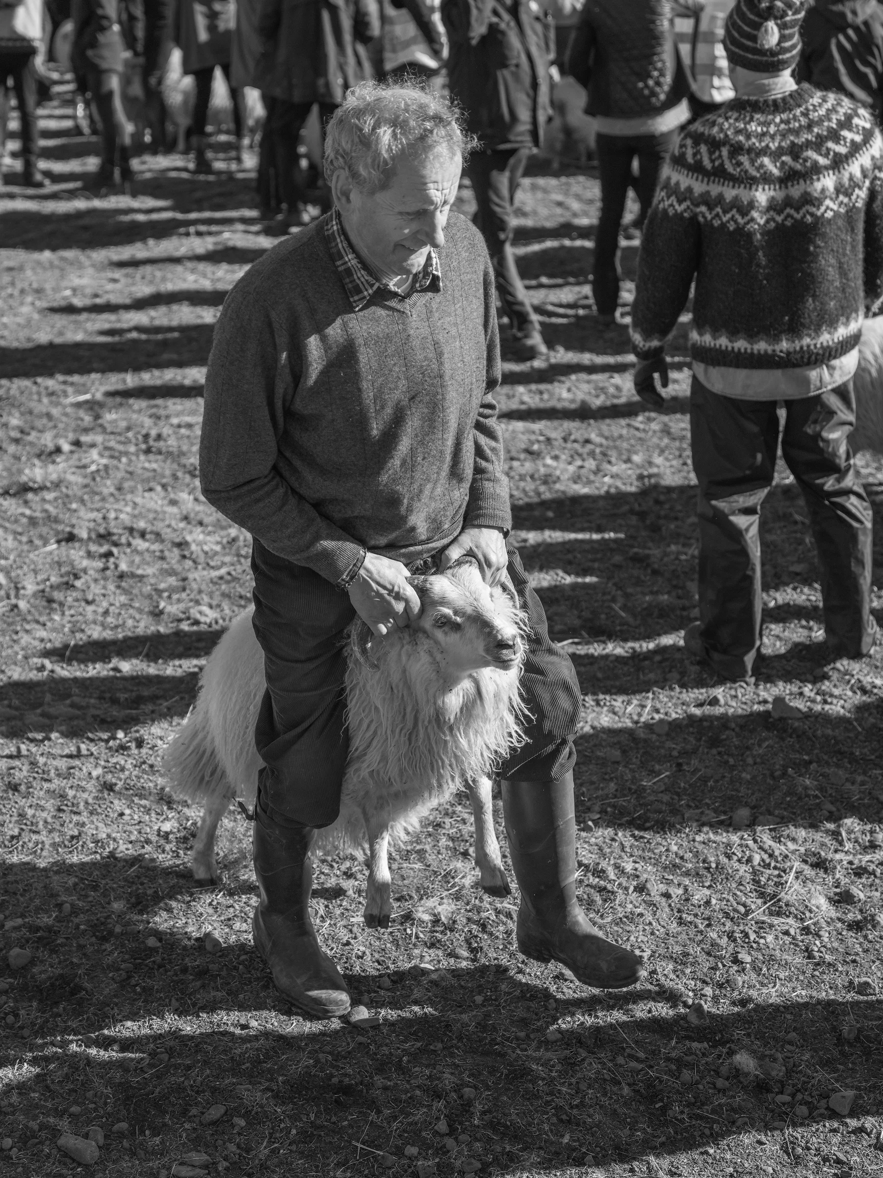 Pálína’s uncle, Eiríkur, executing perfect sorting technique honed from many years of practice.