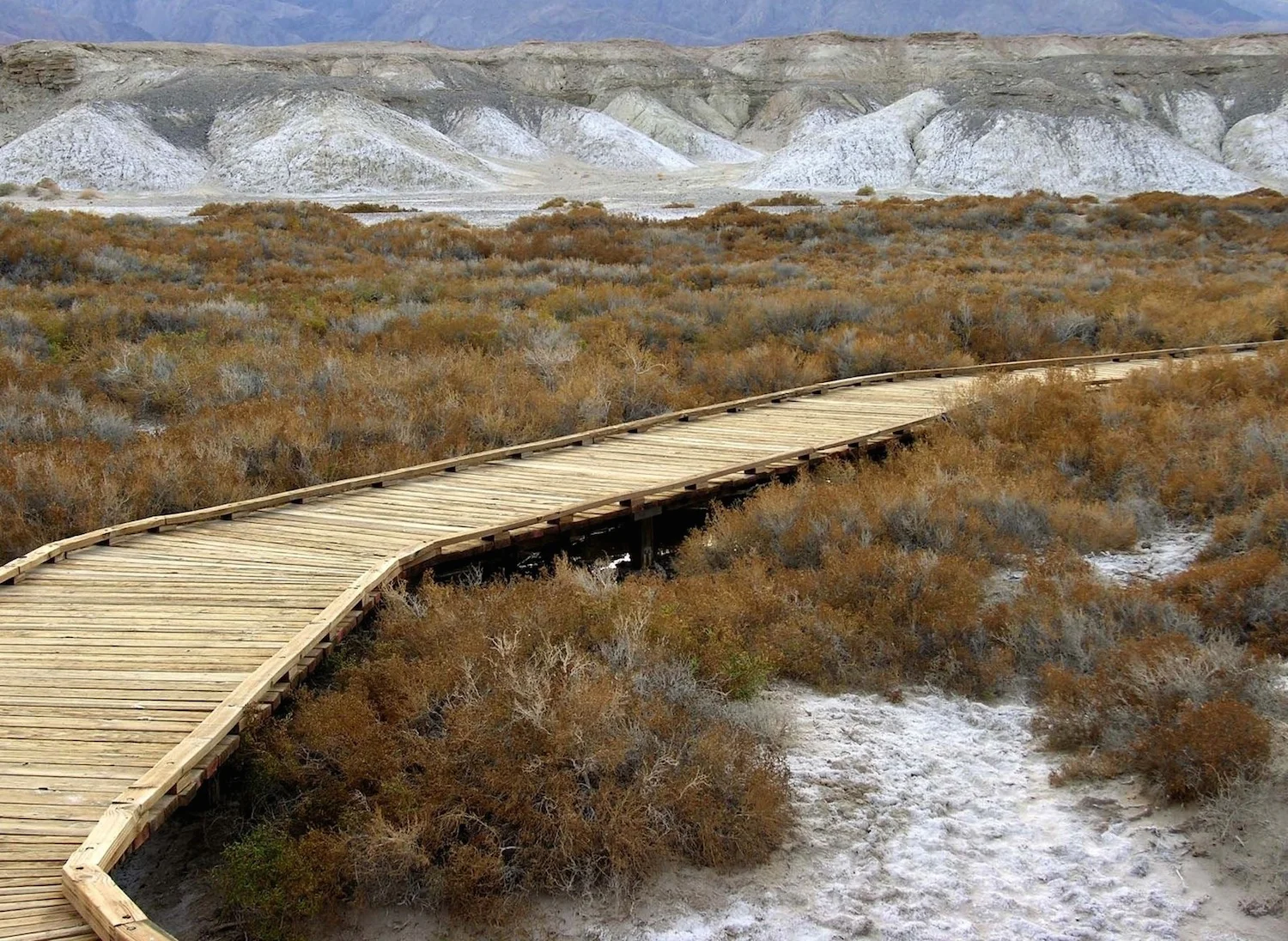 Contemporary Passages: temporary roots and interweaving paths