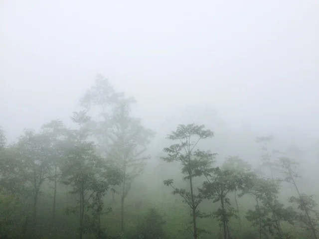Chongqing Mountain 01.jpg