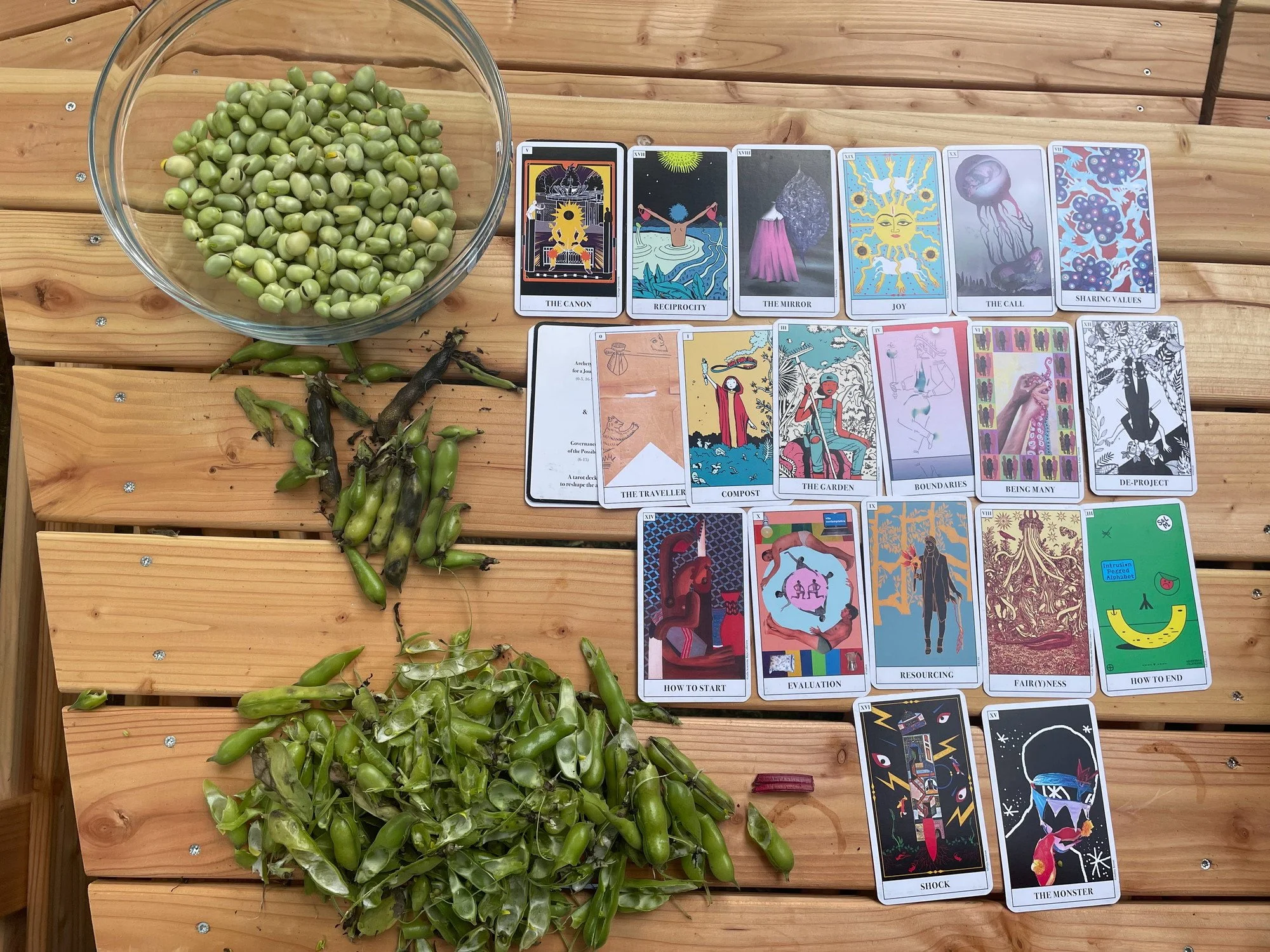 “Towards Permacultural Institutions: Curating Transformation”–Allyship