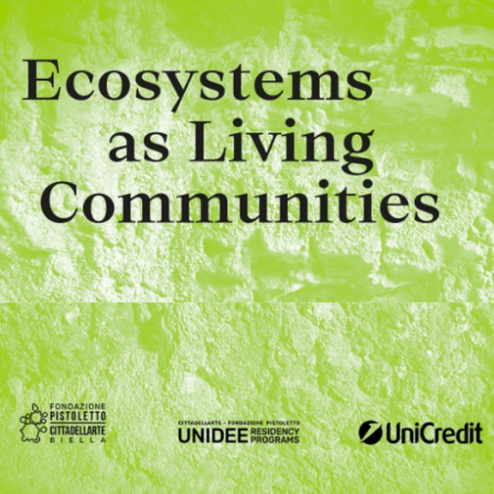 Curating ‘Ecosystems as Living Communities II’ with Eliza Collin and Emma Zerial